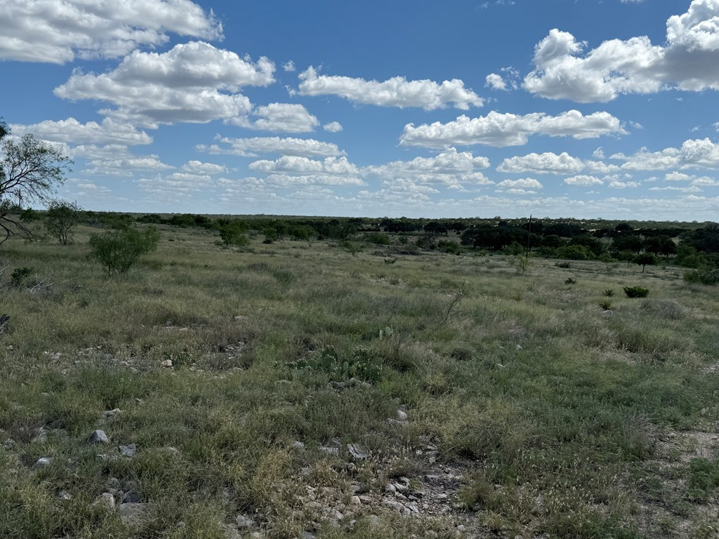 3420 Northeast County Road Sonora, TX 76950 - Photo 30 of 94 Photo 31