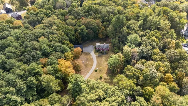 a view of a yard with plants