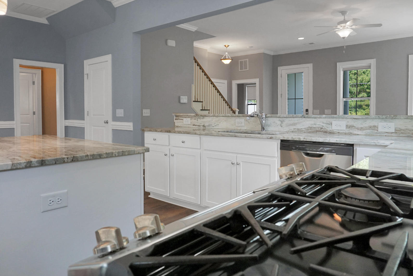 1687 Jessy Elizabeth Road Johns Island, SC 29455 - Photo 24 of 61 DSC06740