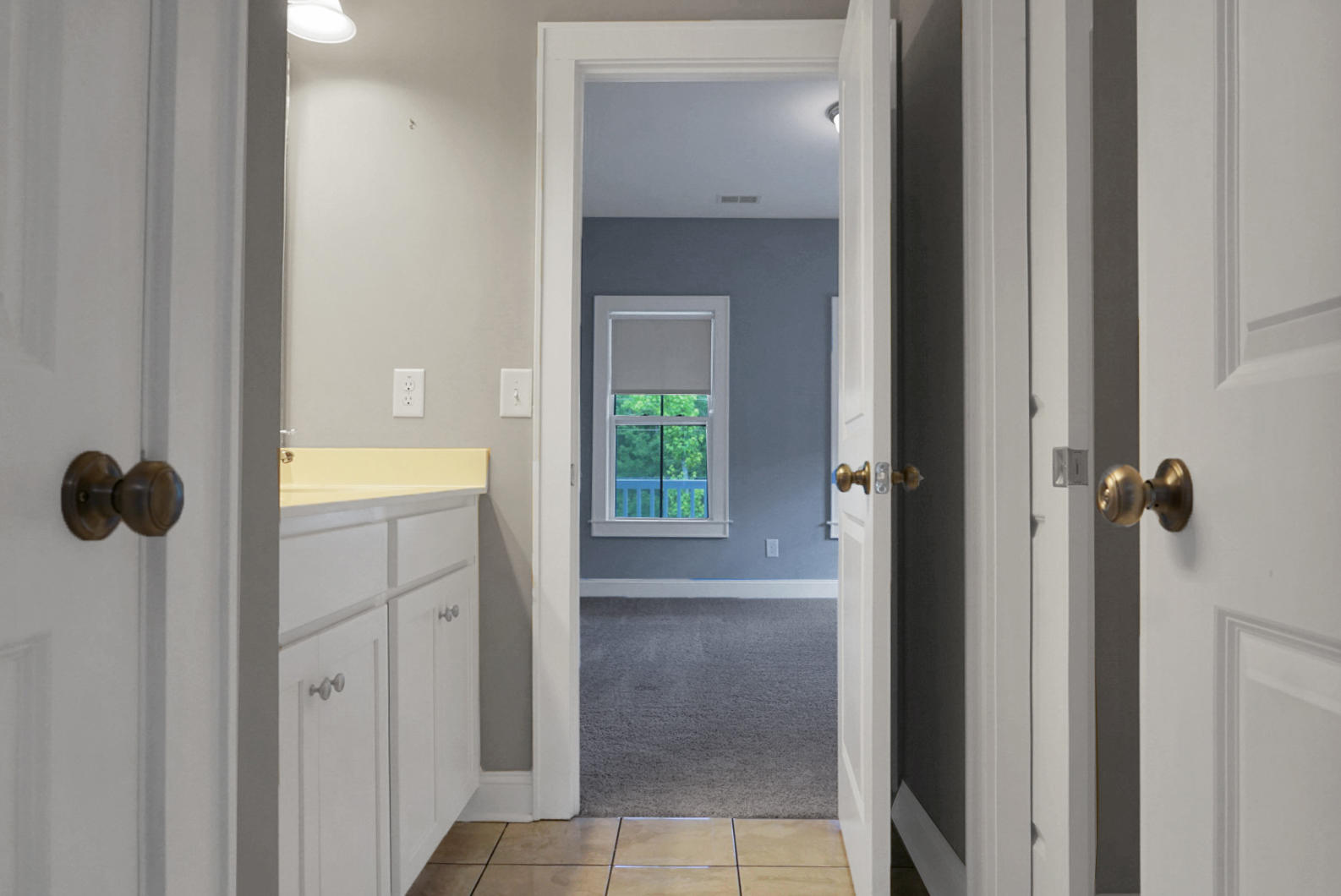 1687 Jessy Elizabeth Road Johns Island, SC 29455 - Photo 50 of 61 DSC06868