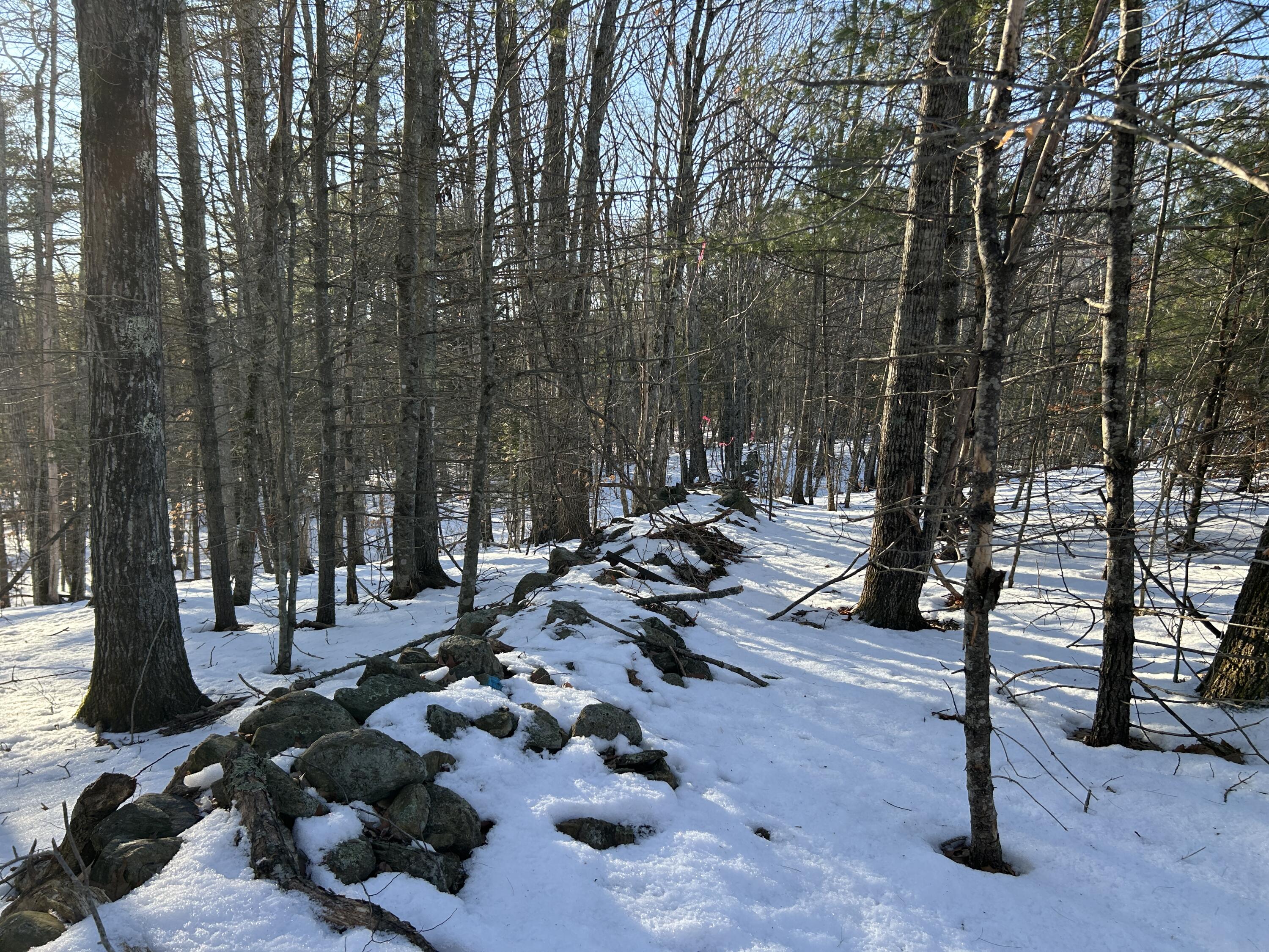 Lot 3 Blinn Hill Road Pittston, ME 04345 - Photo 12 of 25 IMG_6912