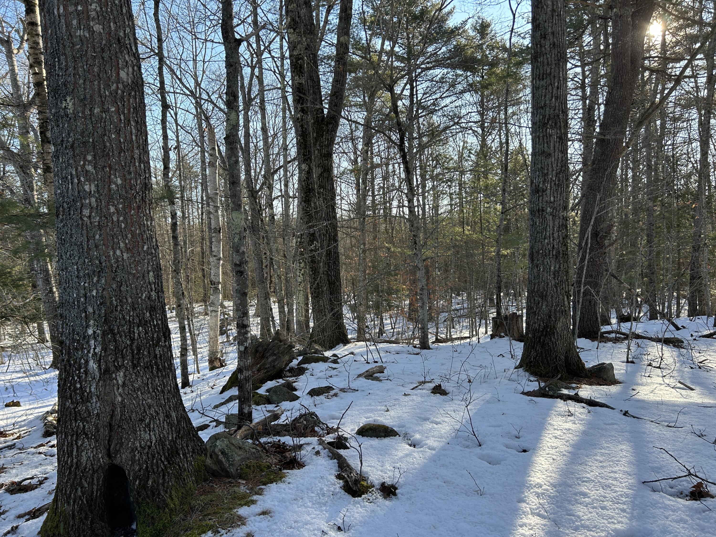 Lot 3 Blinn Hill Road Pittston, ME 04345 - Photo 13 of 25 IMG_6918