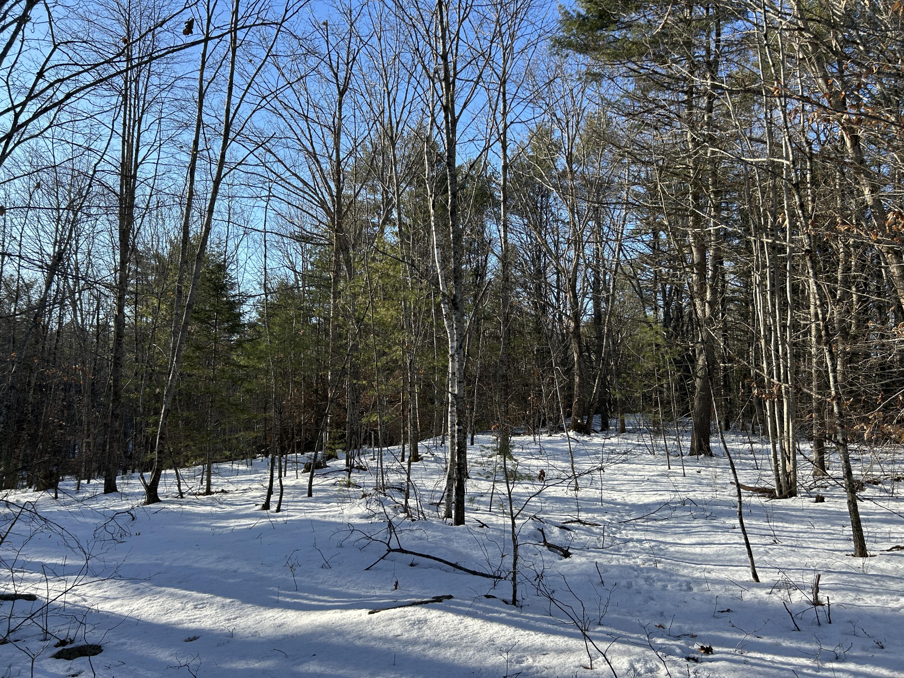 Lot 3 Blinn Hill Road Pittston, ME 04345 - Photo 14 of 25 IMG_6920