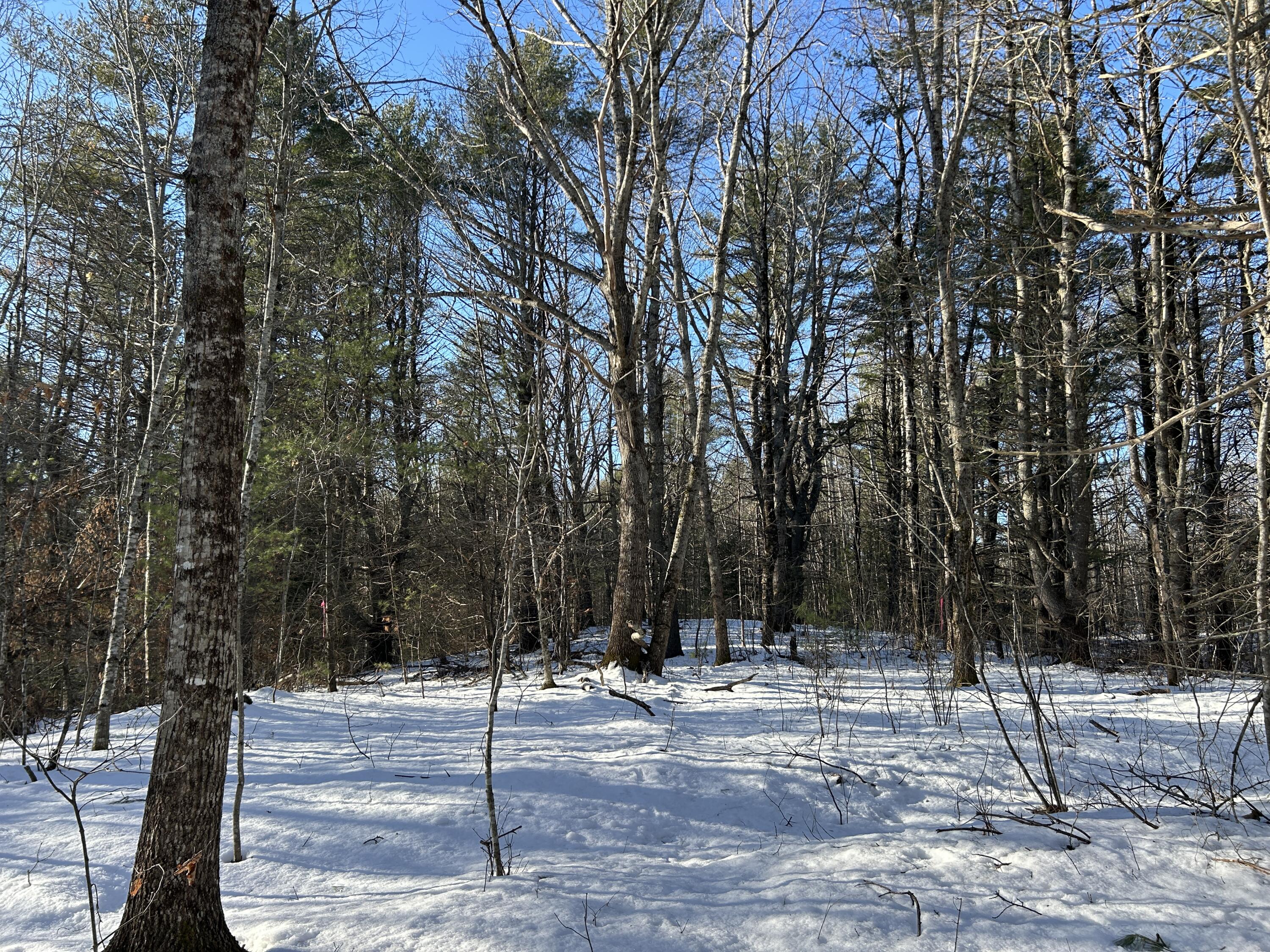 Lot 3 Blinn Hill Road Pittston, ME 04345 - Photo 15 of 25 IMG_6921