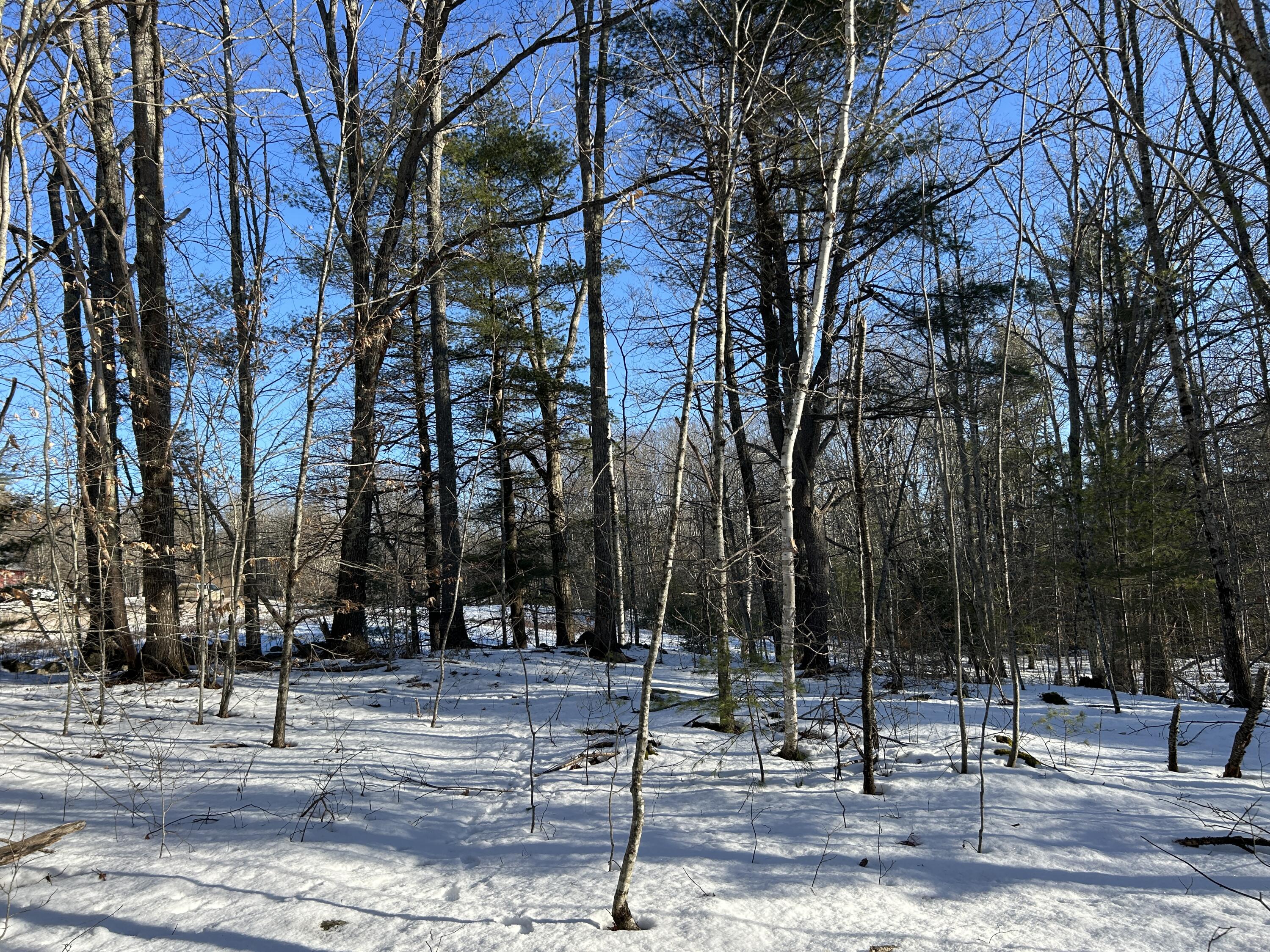 Lot 3 Blinn Hill Road Pittston, ME 04345 - Photo 16 of 25 IMG_6922