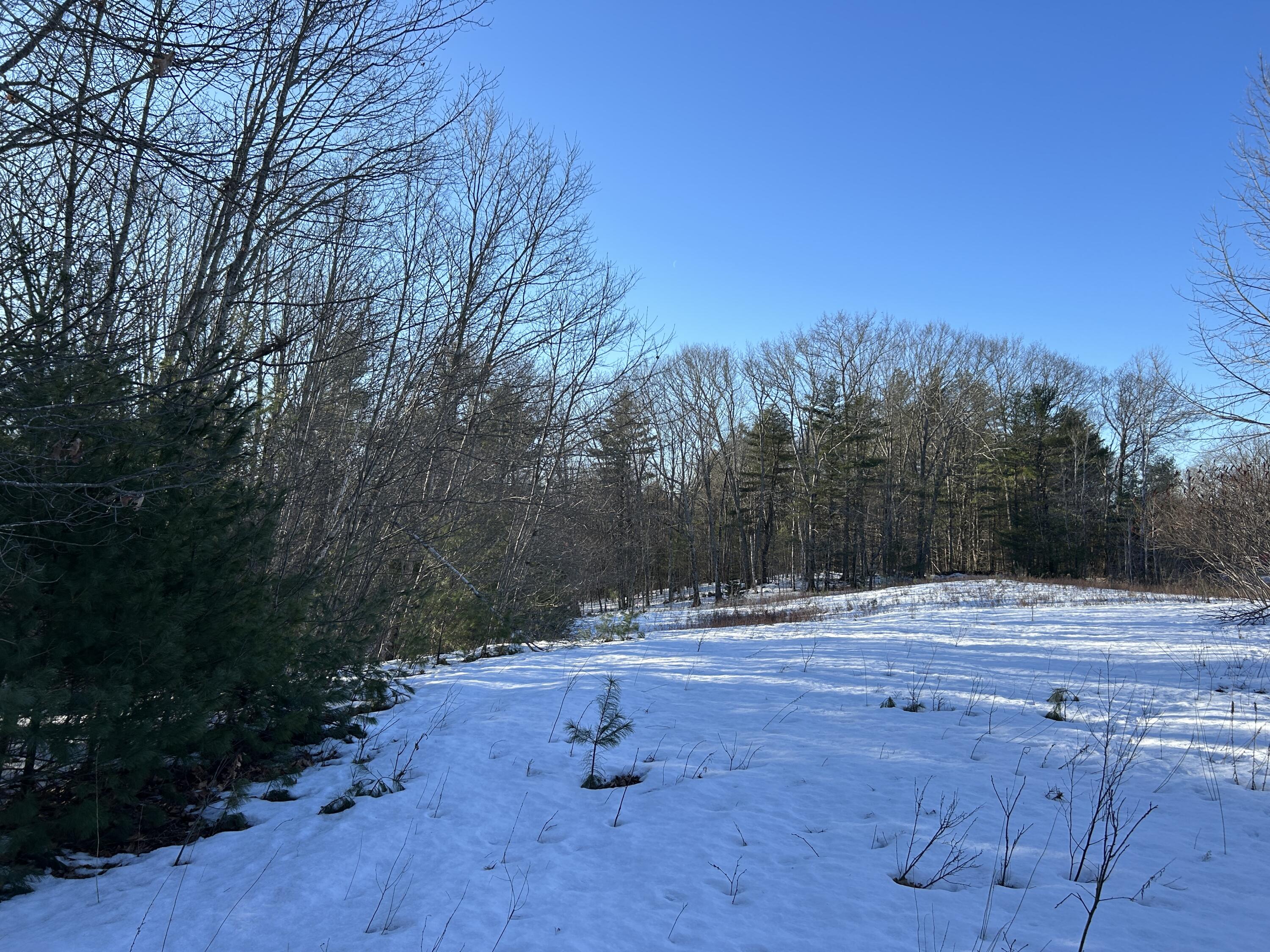 Lot 3 Blinn Hill Road Pittston, ME 04345 - Photo 7 of 25 IMG_6911