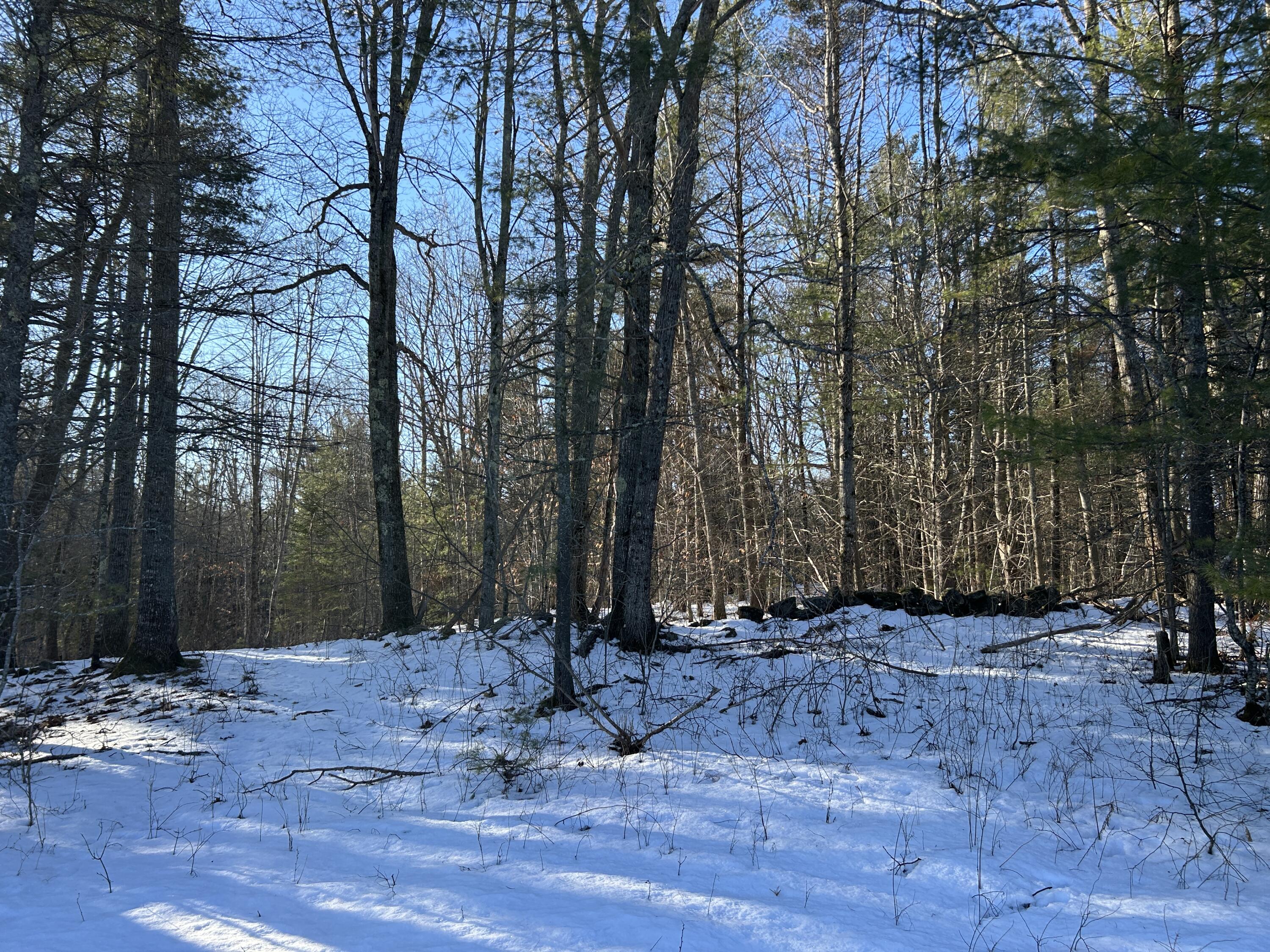 Lot 3 Blinn Hill Road Pittston, ME 04345 - Photo 10 of 25 IMG_6917