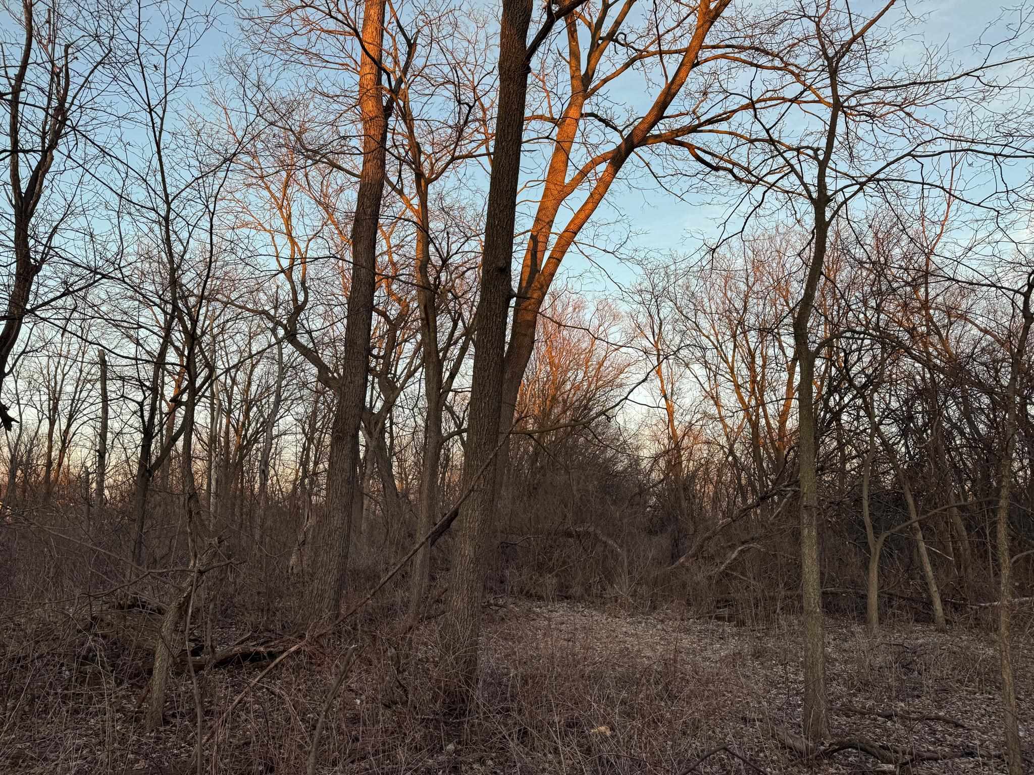 Lot 1 South Afton Road Beloit, WI 53511 - Photo 15 of 37