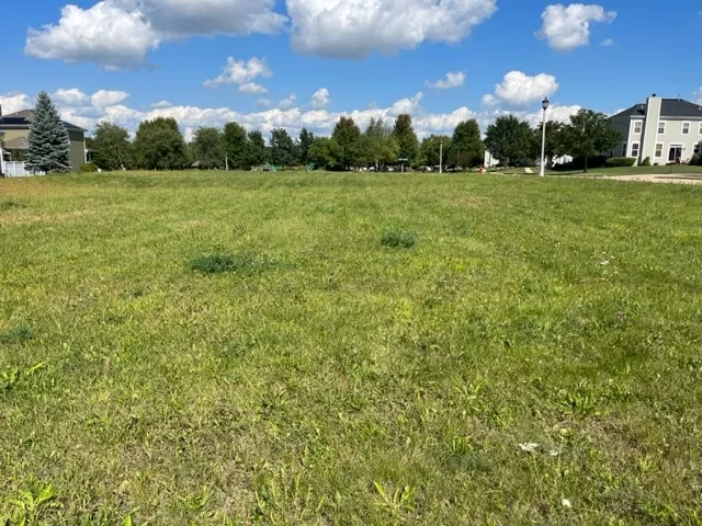 a view of a green field