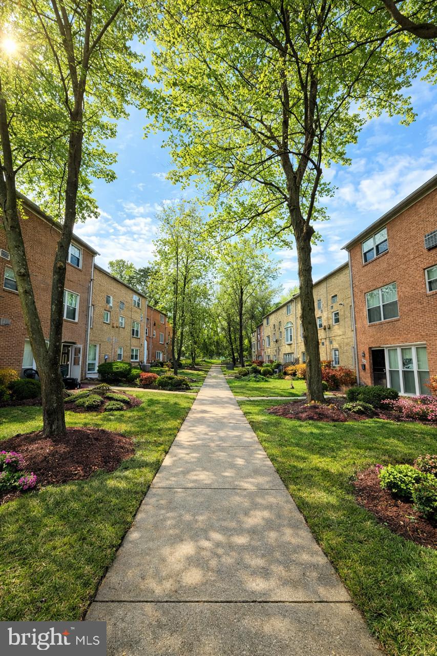 Green and charming sidewalk