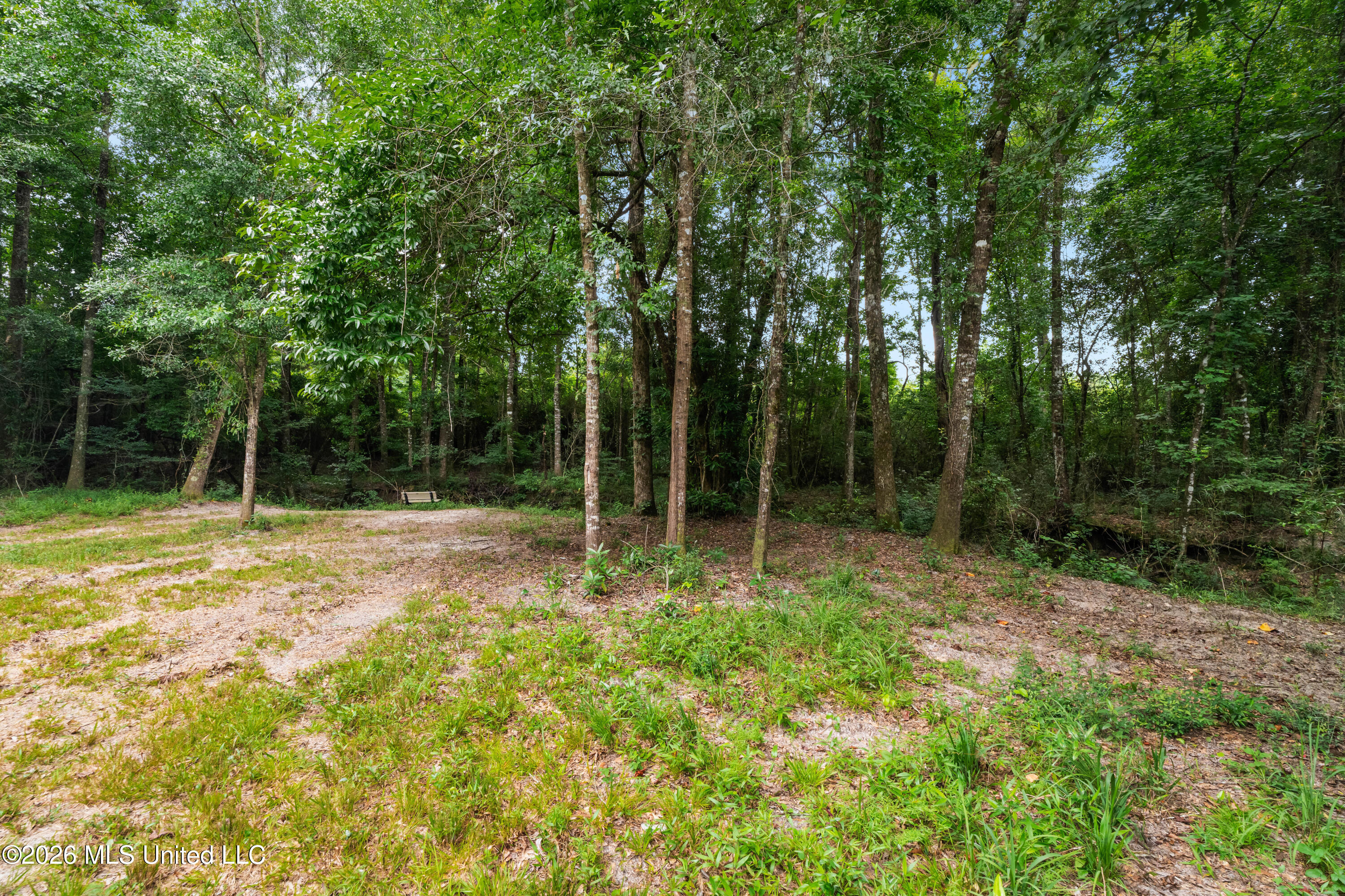 232 Knoxo Columbia Road Tylertown, MS 39667 - Photo 97 of 120 232_Knoxo_Columbia_Rd-96