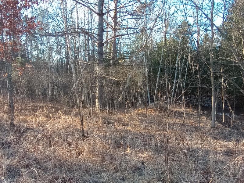 Lot 5 Castleview Gladwin, MI 48624 - Photo 6 of 9