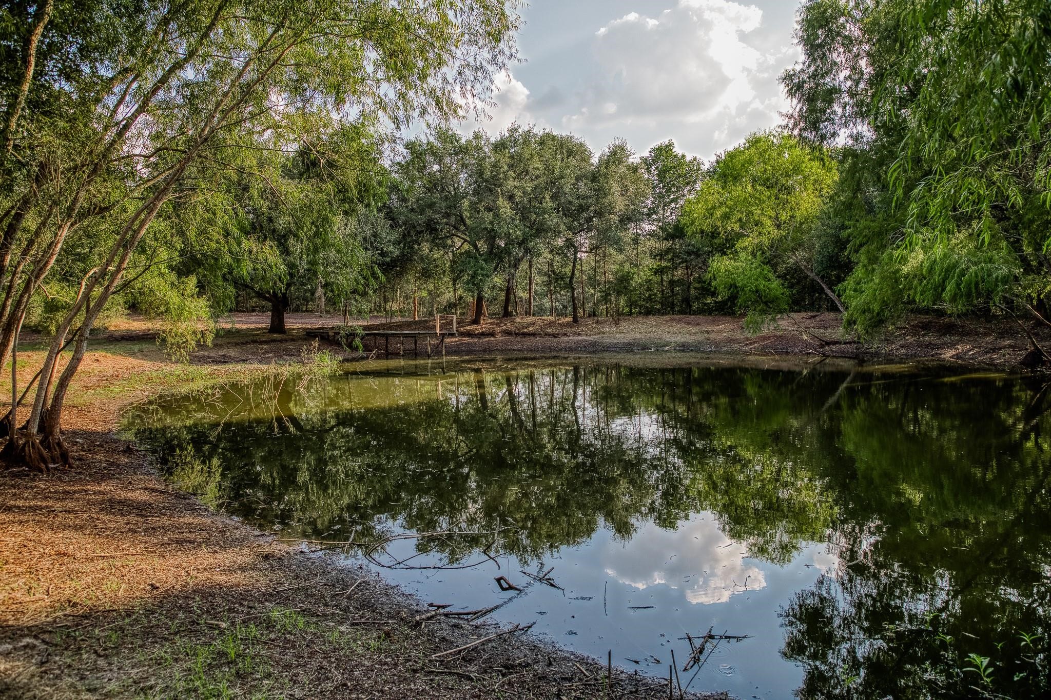 0 Sun Oil Road Brenham, TX 77833 - Photo 16 of 26 a view of a water pond with green yard