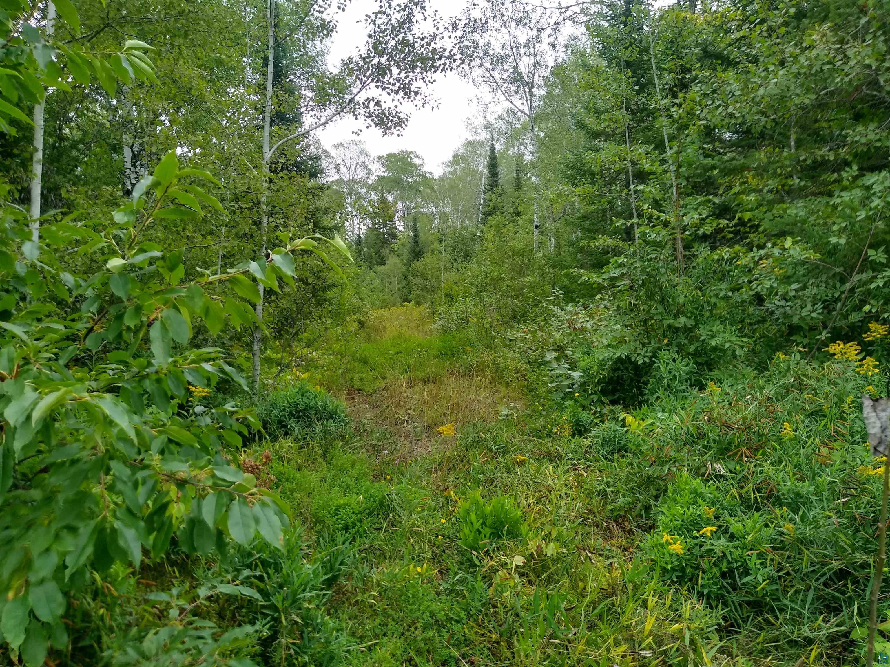 86240 Happy Hollow Road Bayfield, WI 54814 - Photo 1 of 15