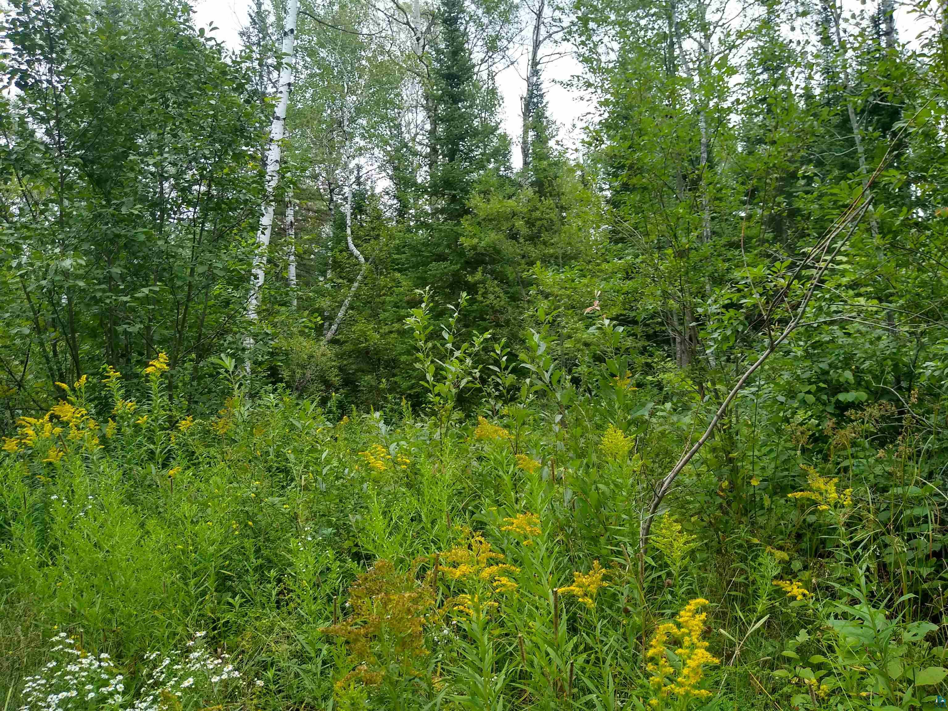 86240 Happy Hollow Road Bayfield, WI 54814 - Photo 11 of 15