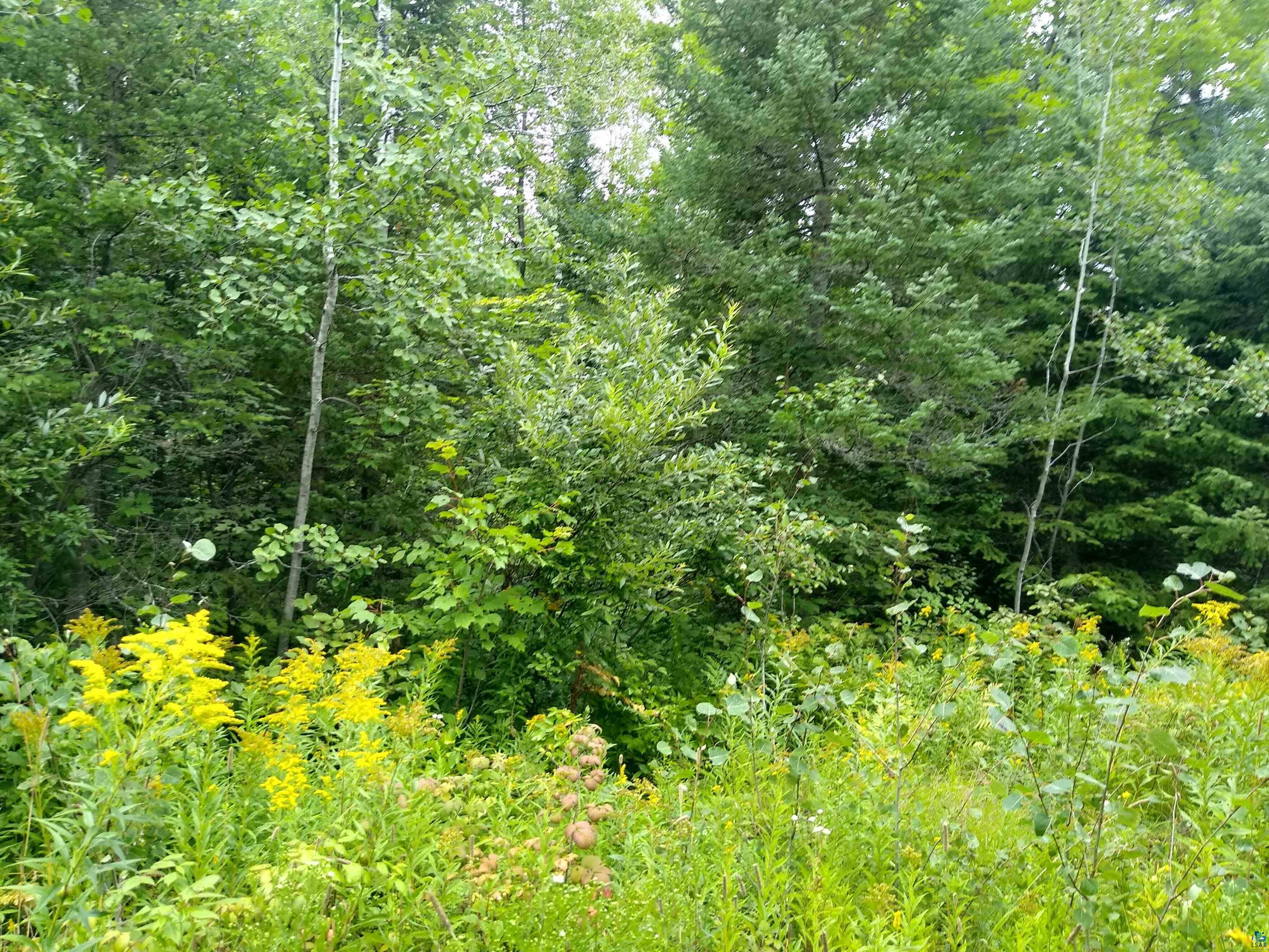 86240 Happy Hollow Road Bayfield, WI 54814 - Photo 12 of 15