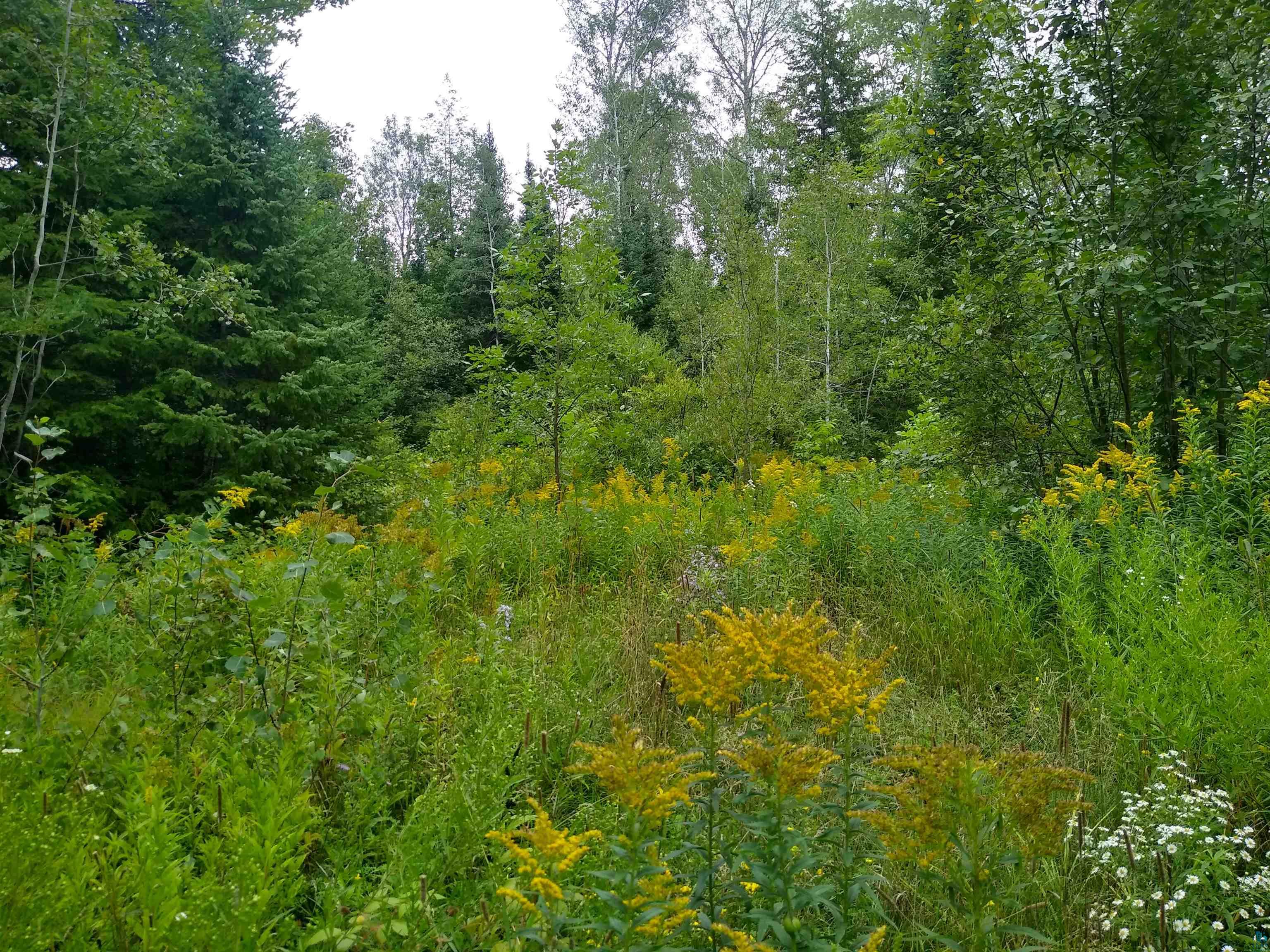 86240 Happy Hollow Road Bayfield, WI 54814 - Photo 2 of 15