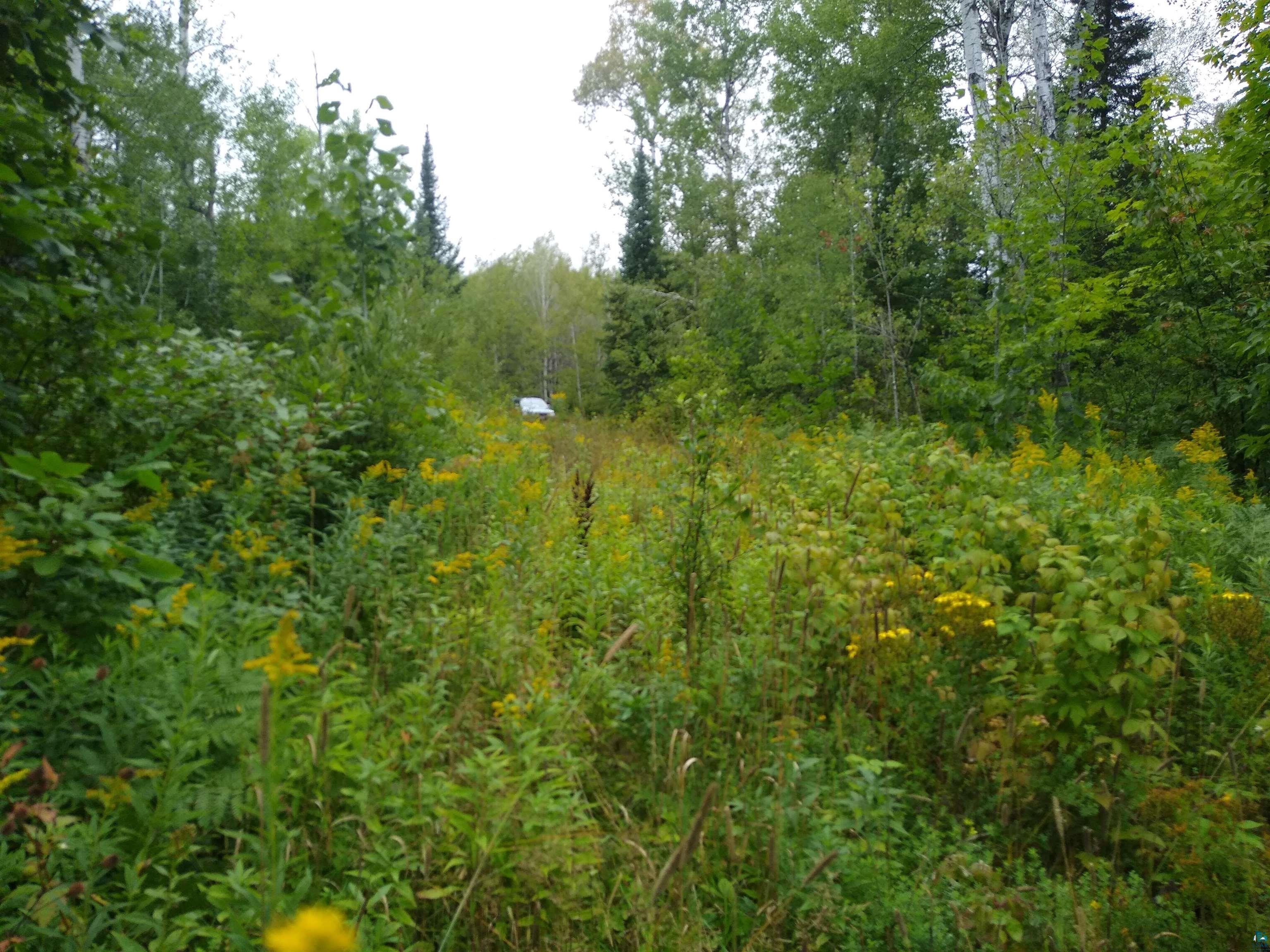 86240 Happy Hollow Road Bayfield, WI 54814 - Photo 3 of 15