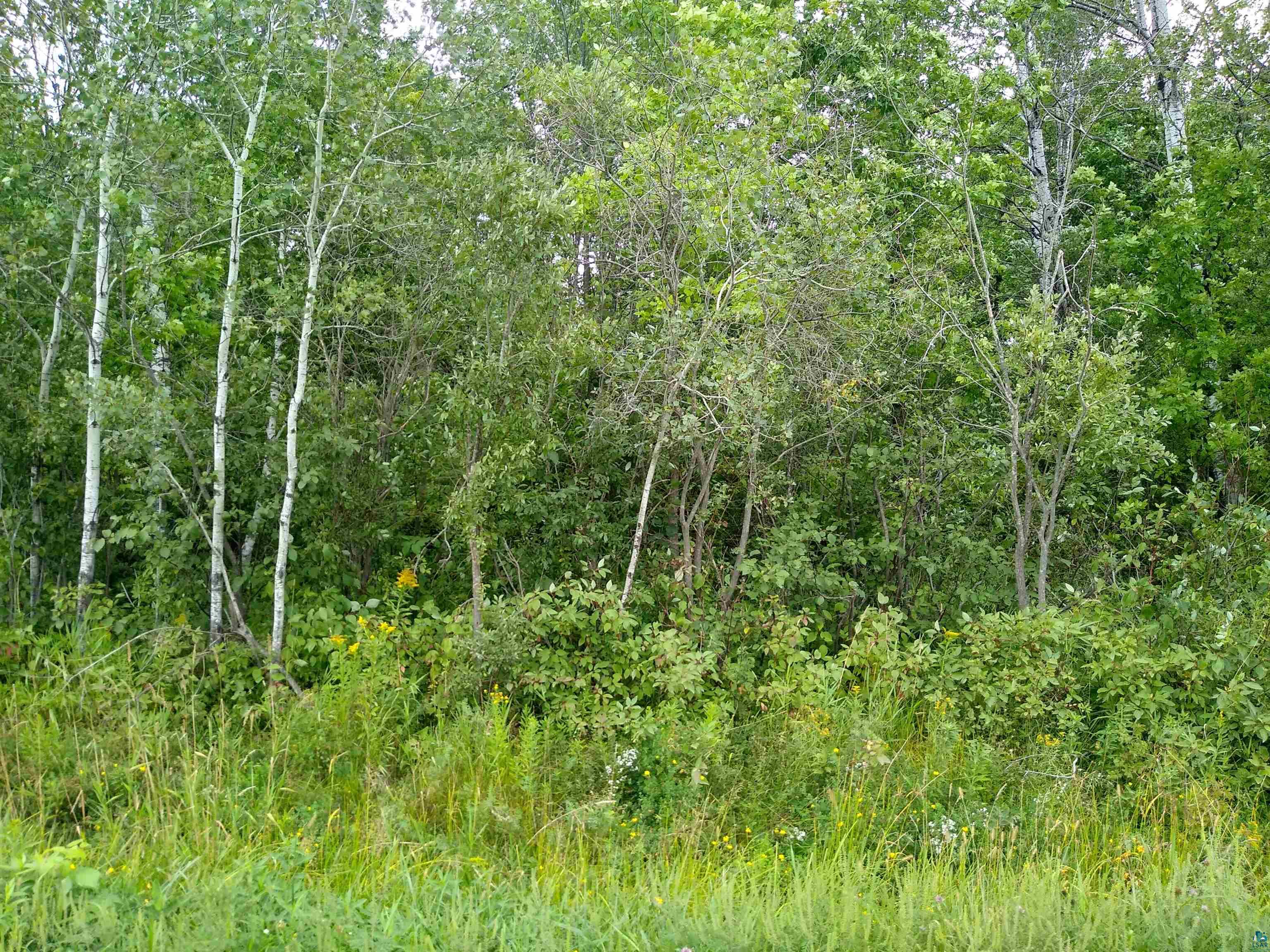 86240 Happy Hollow Road Bayfield, WI 54814 - Photo 6 of 15