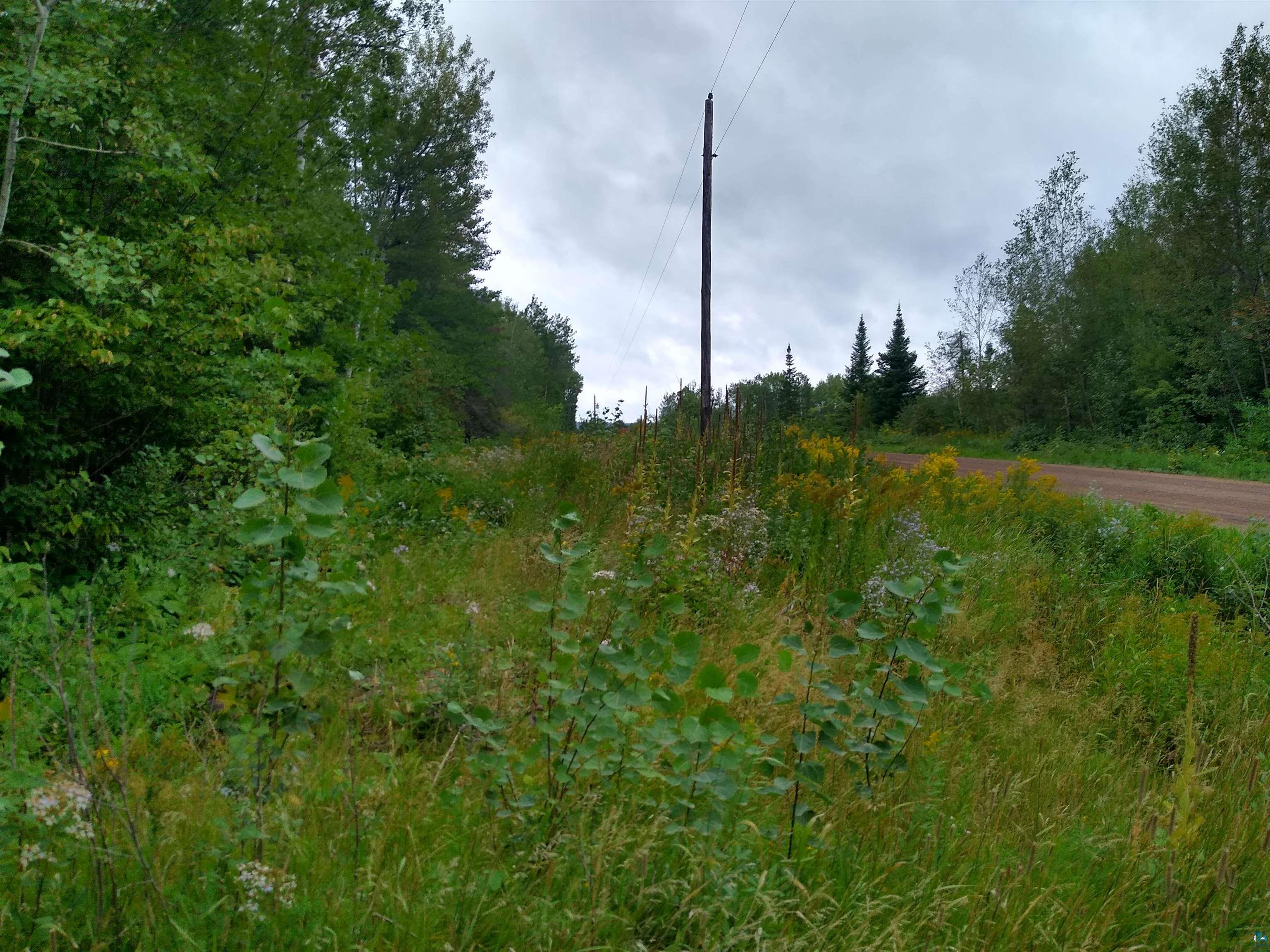 86240 Happy Hollow Road Bayfield, WI 54814 - Photo 7 of 15