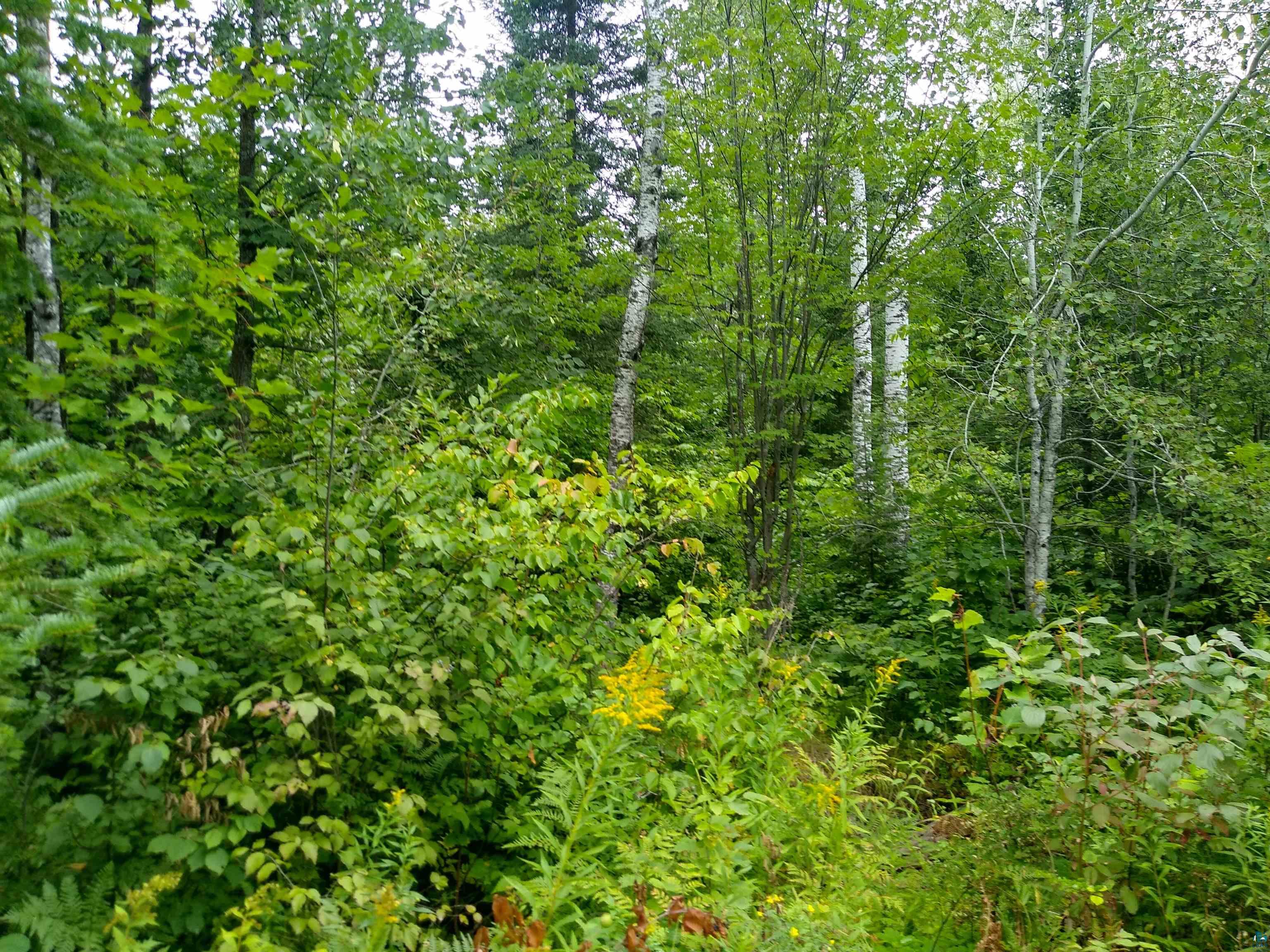 86240 Happy Hollow Road Bayfield, WI 54814 - Photo 9 of 15