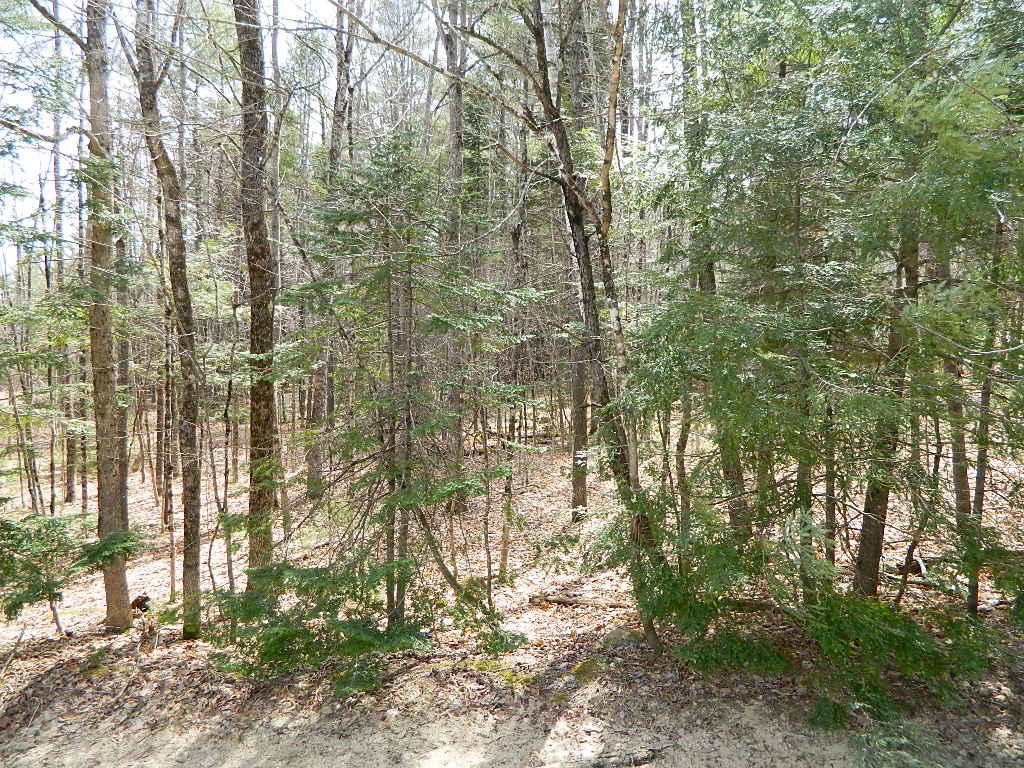 6 Thomas Hill Road Norway, ME 04268 - Photo 9 of 12 DSCN2072