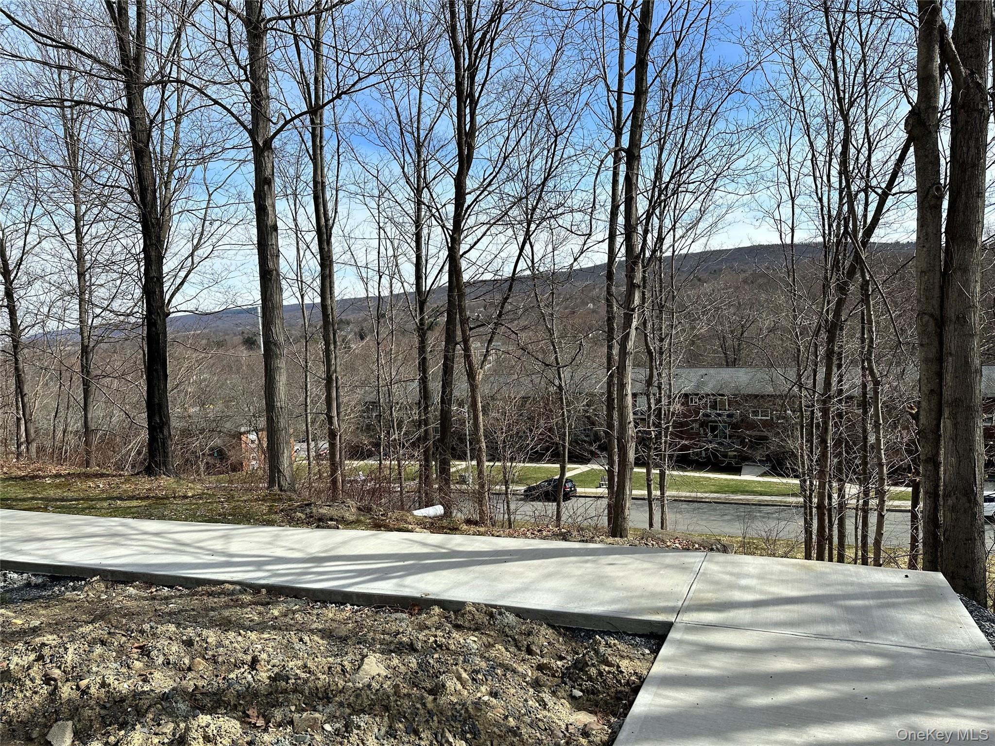 20 Peddler Hill Road, Unit 2002 Monroe, NY 10950 - Photo 4 of 17 Pathway to the sliders off the patio - no steps to climb.