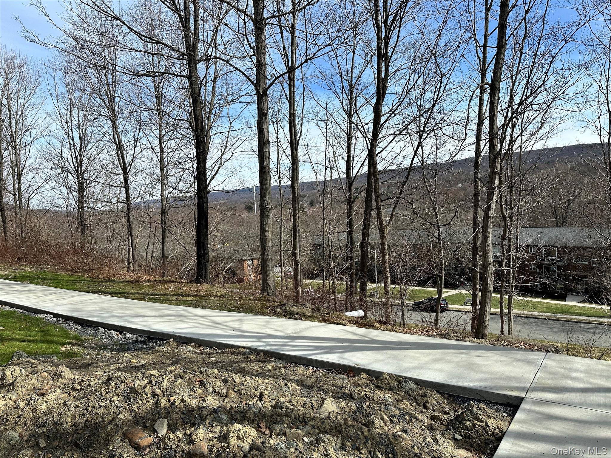 20 Peddler Hill Road, Unit 2002 Monroe, NY 10950 - Photo 5 of 17 Pathway from car to patio and sliders to unit.