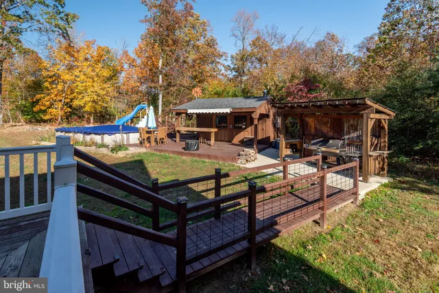 a view of backyard with large tree