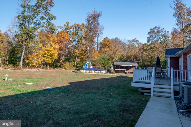 a view of a large garden with plants and large trees