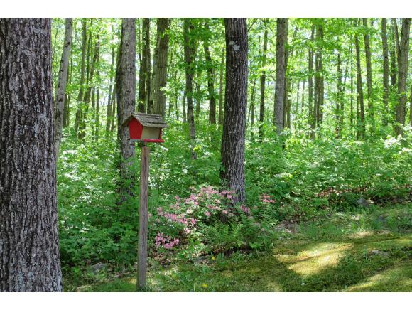 54 Spring Pond Drive Brandon, VT 05733 - Photo 21 of 21 Gallery Image 21