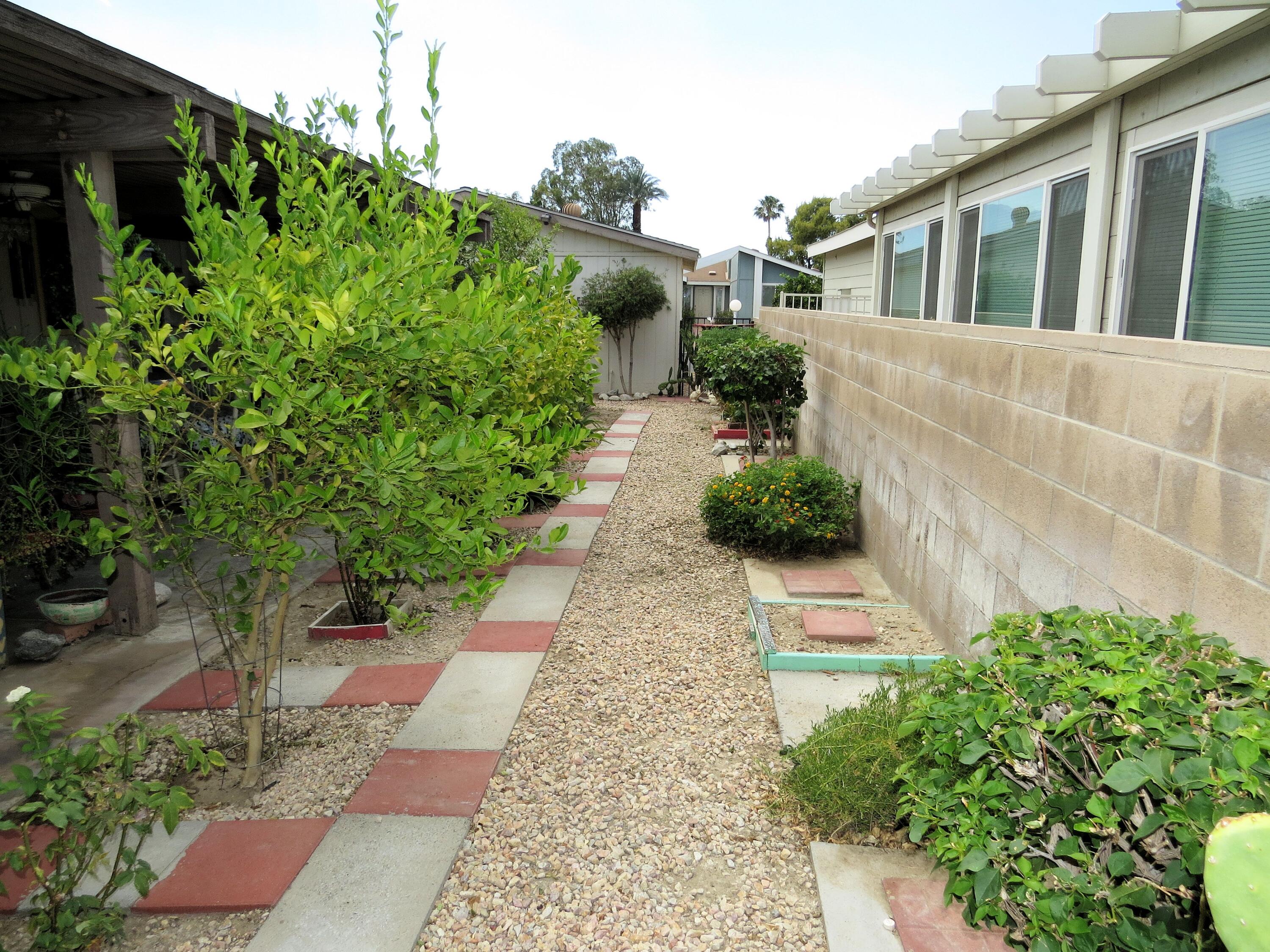 34980 Serenade Thousand Palms, CA 92276 - Photo 36 of 37 a view of a garden with pathway