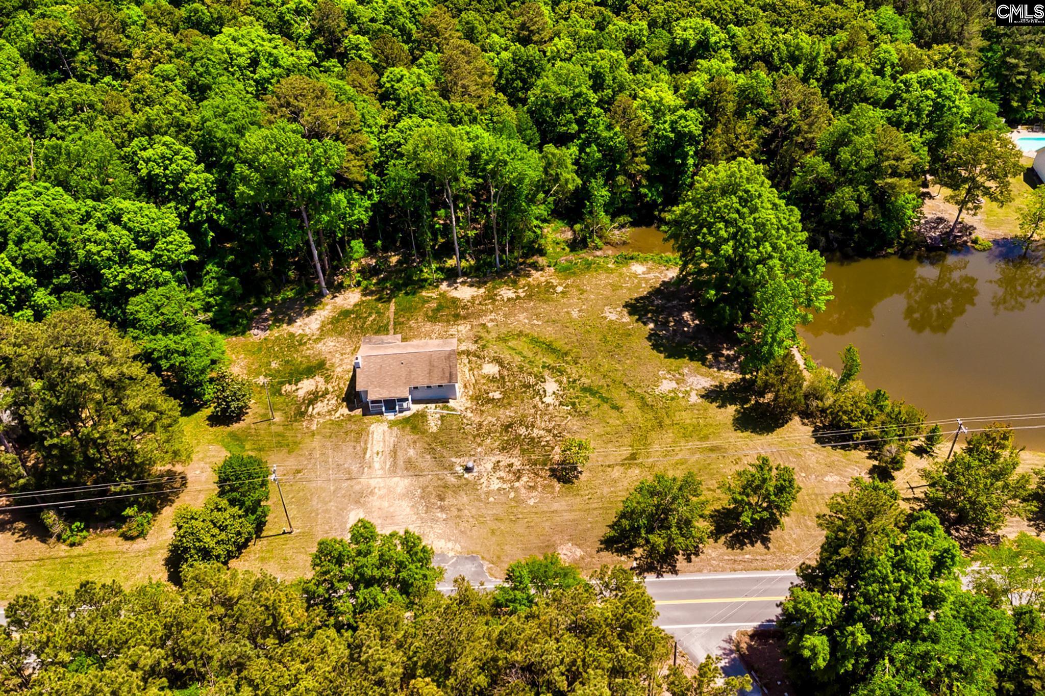 1133 Old Hilton Road Chapin, SC 29036 - Photo 42 of 50