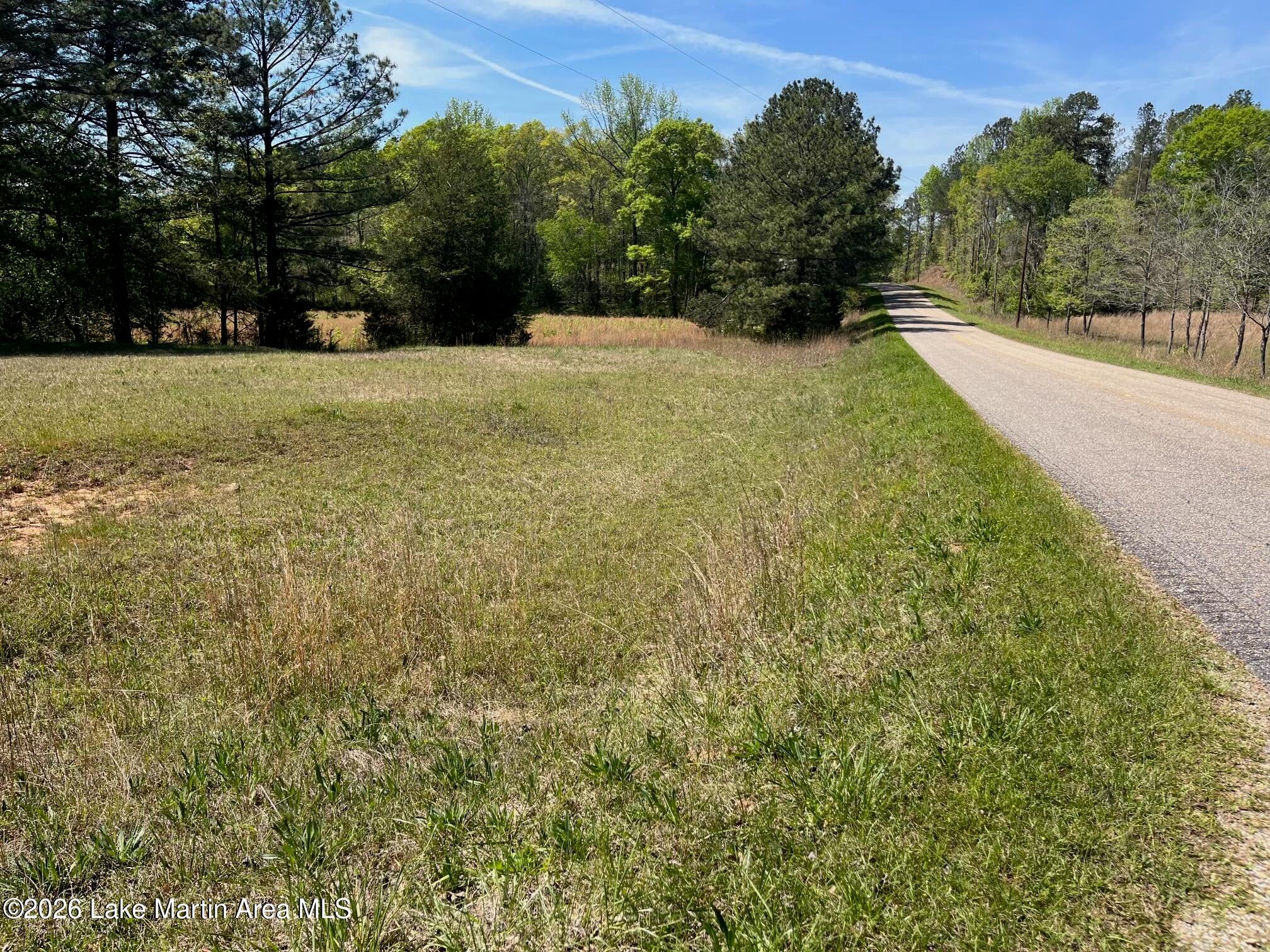 10 /- Acres Sanford Road Alexander City, AL 35010 - Photo 1 of 1 IMG_3035