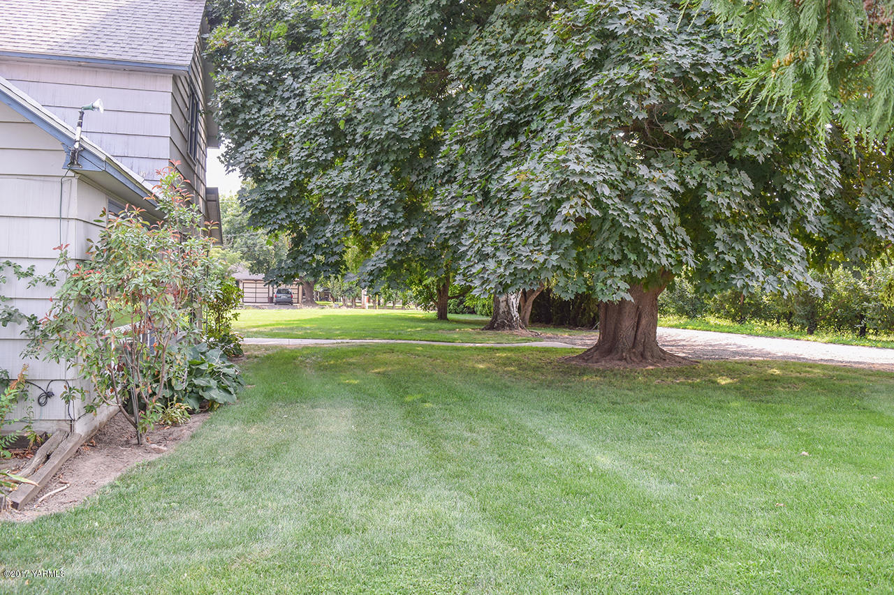 1001 Division Road Zillah, WA 98953 - Photo 23 of 24 a view of a yard with a tree