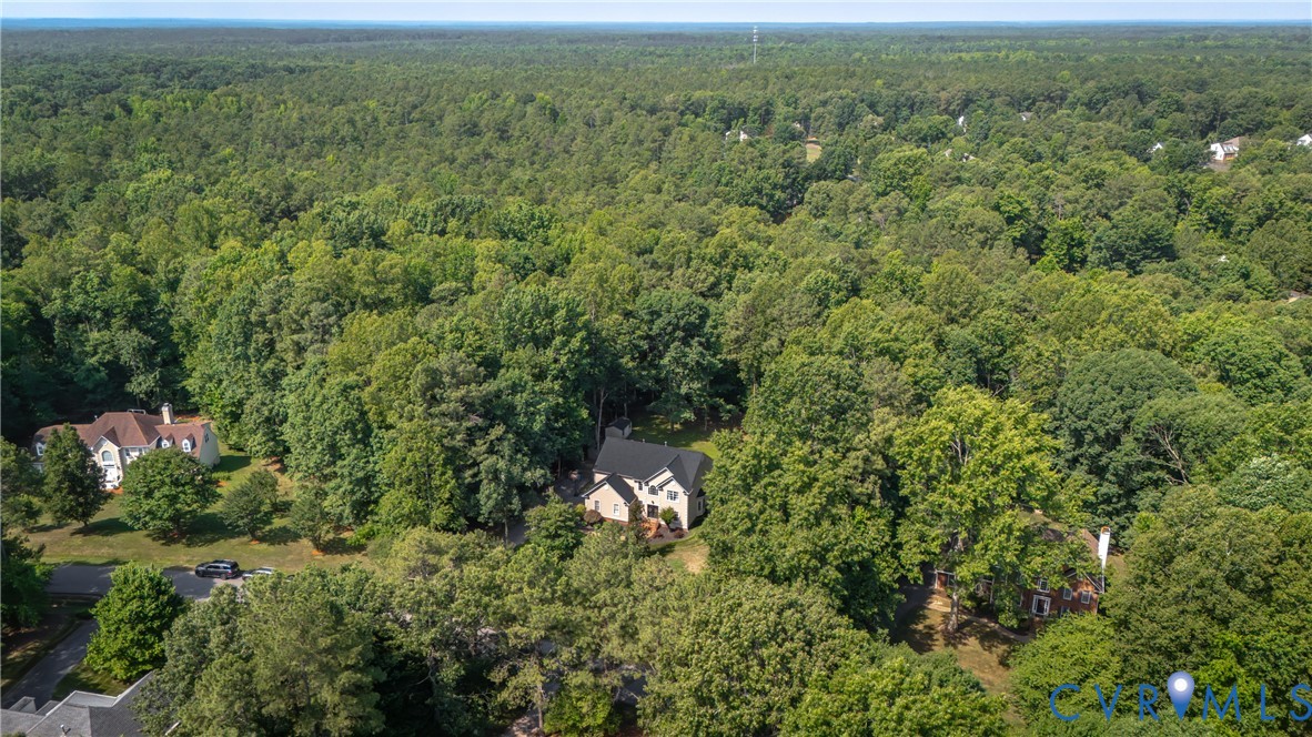 13331 Walke Pointe Way Chesterfield, VA 23832 - Photo 50 of 55