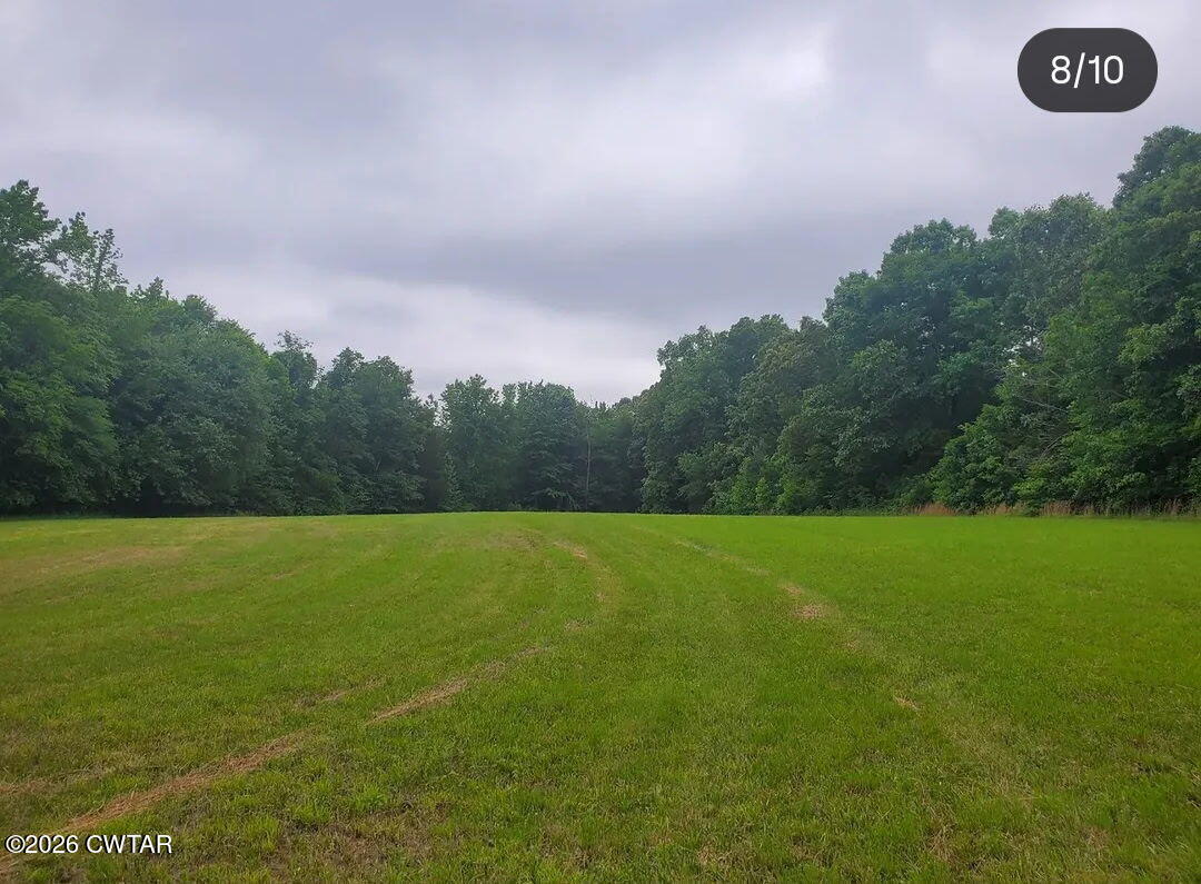 3431 Old Reagan Road Sardis, TN 38371 - Photo 23 of 25 5417