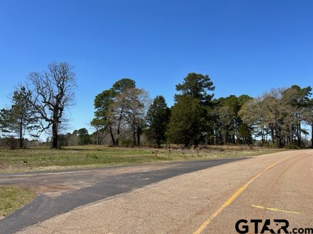 38-acres Off Watson Road Kilgore, TX 75662 - Photo 13 of 38