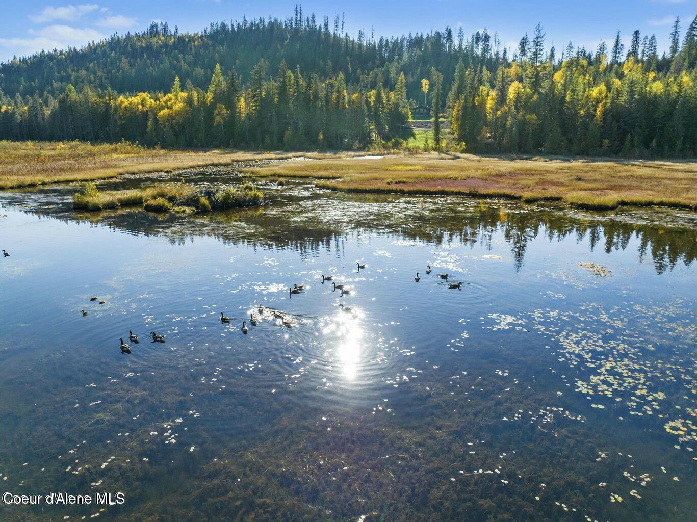 937 Chase Lake Road Priest River, ID 83856 - Photo 30 of 49 Great fishing