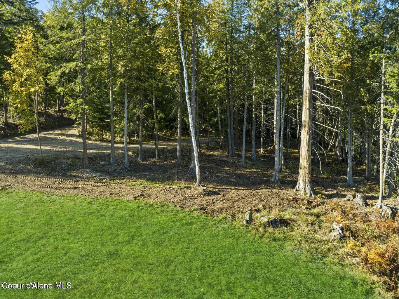 937 Chase Lake Road Priest River, ID 83856 - Photo 31 of 49 Level land