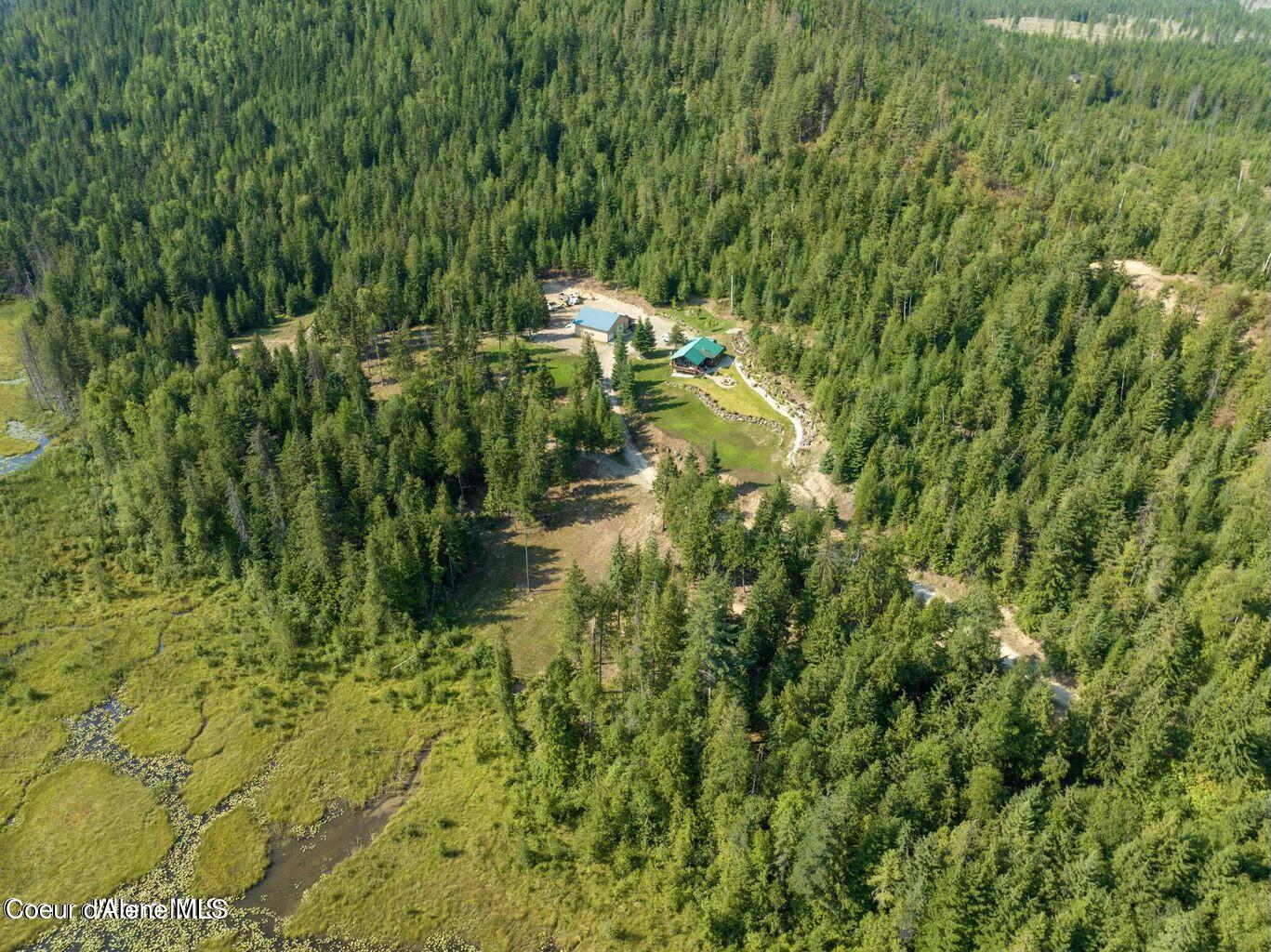 937 Chase Lake Road Priest River, ID 83856 - Photo 9 of 49 Beautifully treed