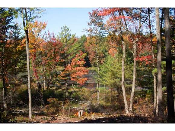 187 Winchester Road Chesterfield, NH 03443 - Photo 1 of 1 Gallery Image 1