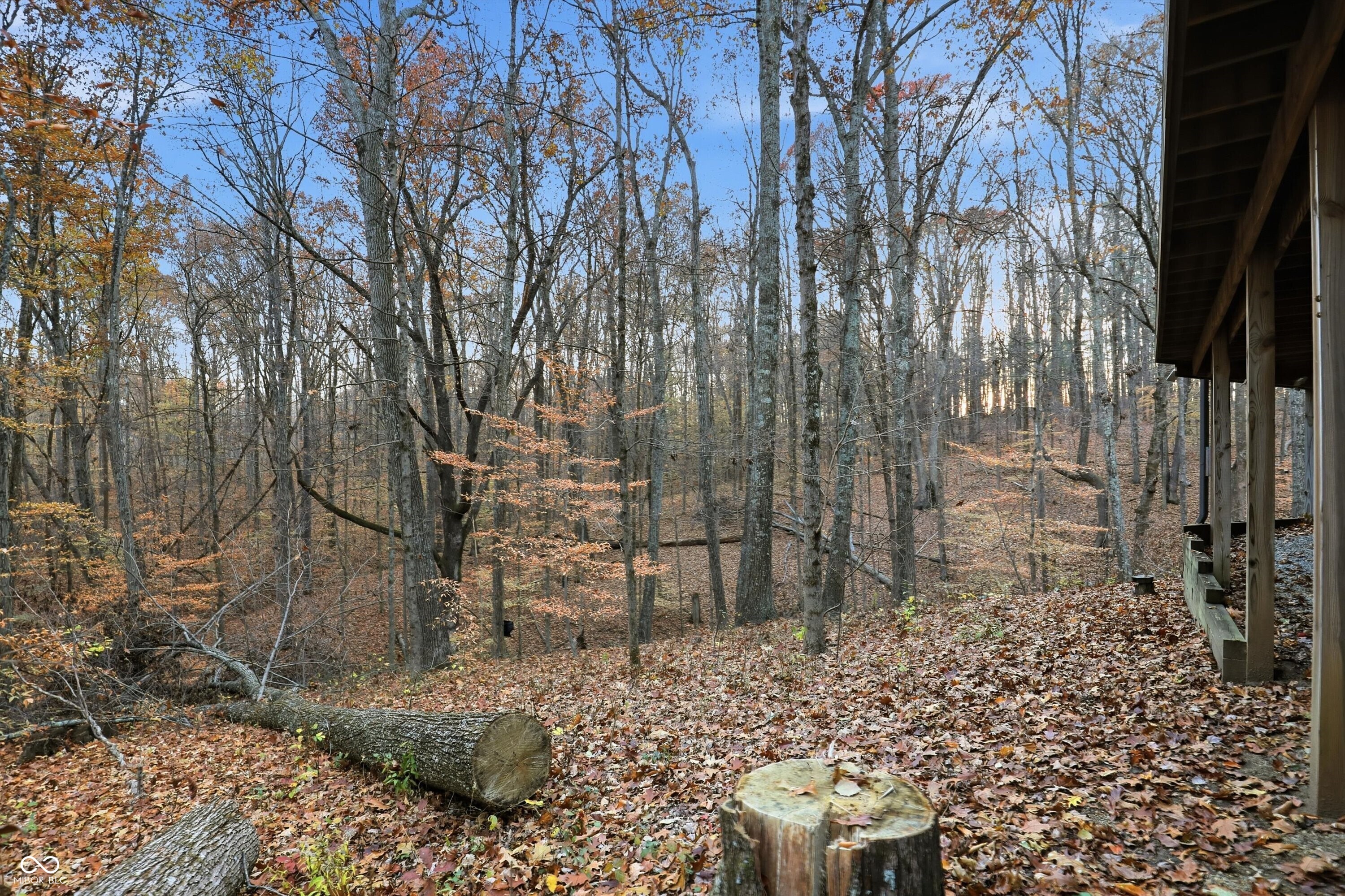 8851 South Peoga Road Trafalgar, IN 46181 - Photo 76 of 124