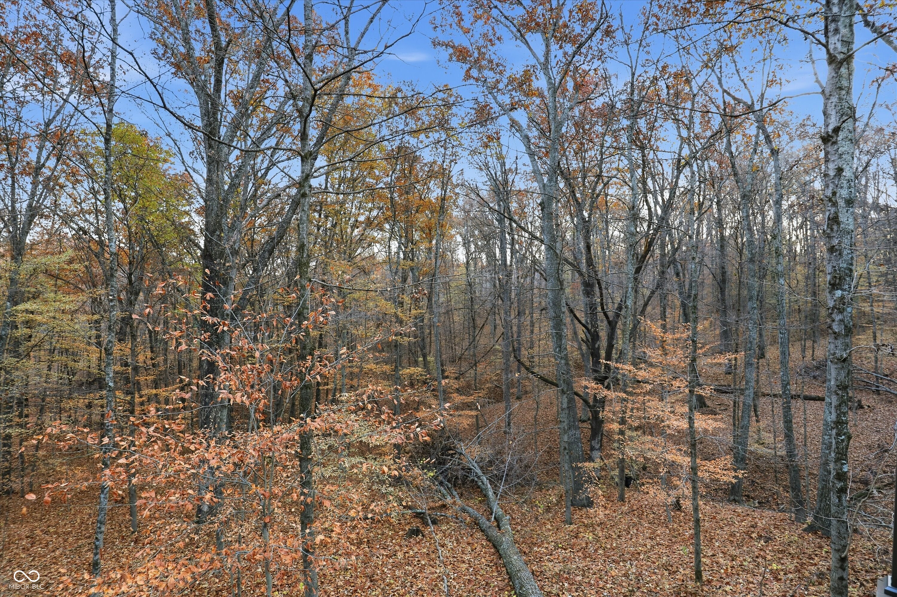 8851 South Peoga Road Trafalgar, IN 46181 - Photo 88 of 124