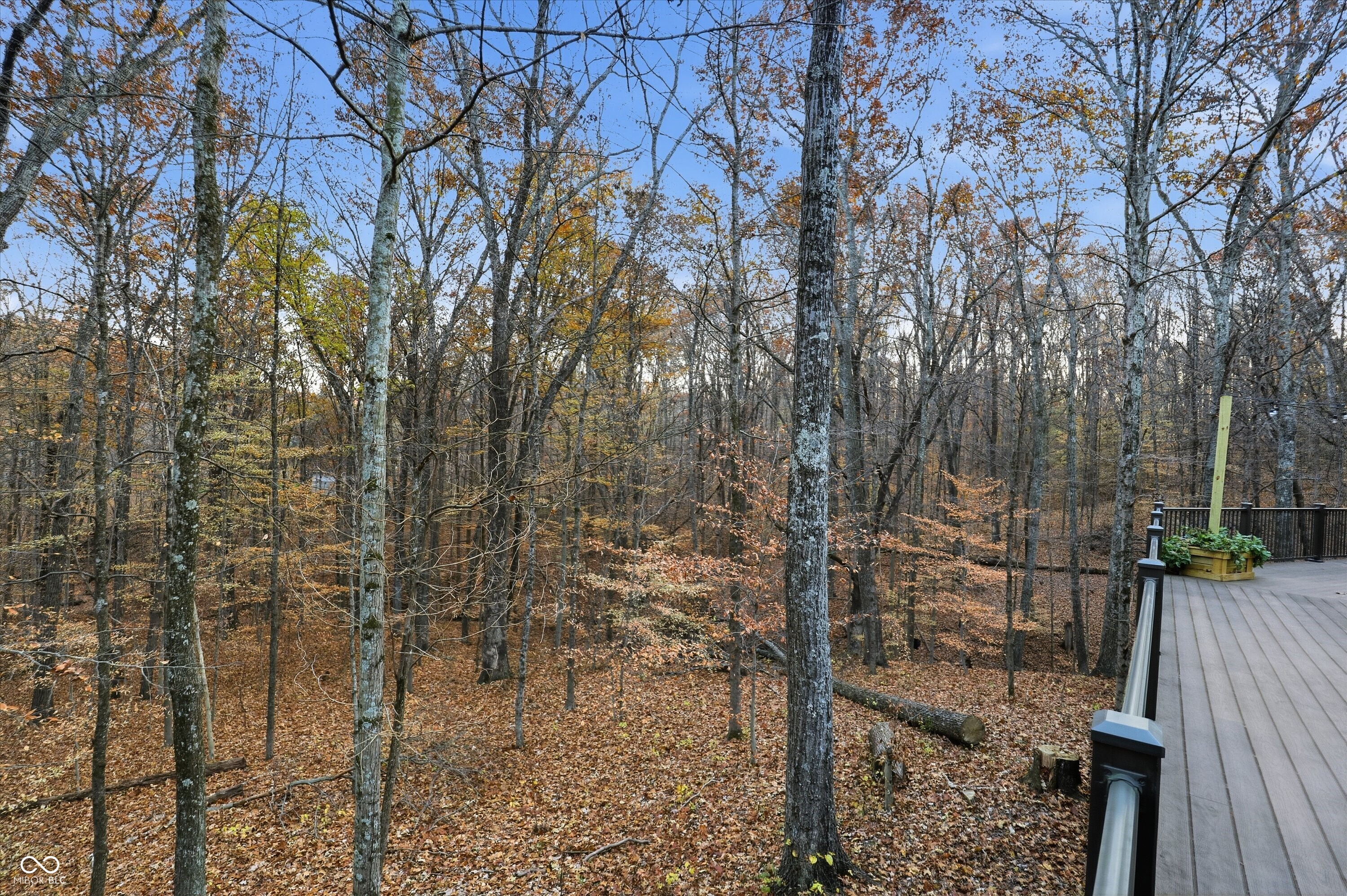 8851 South Peoga Road Trafalgar, IN 46181 - Photo 91 of 124