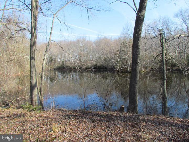 82-90 Dutch Row Road Elmer, NJ 08318 - Photo 18 of 22 Lake / Pond