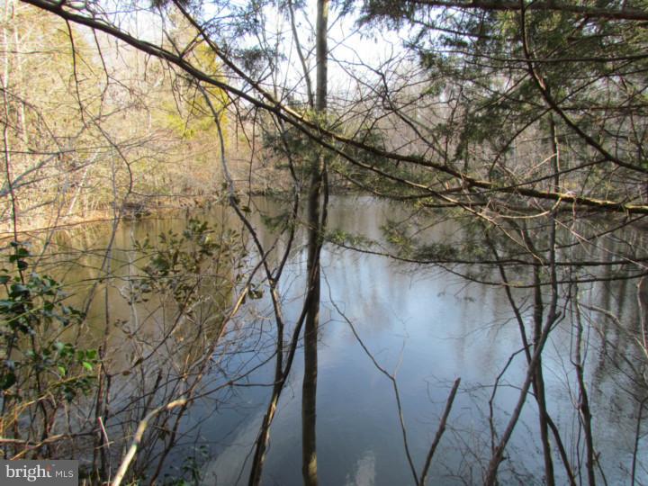 82-90 Dutch Row Road Elmer, NJ 08318 - Photo 21 of 22 Lake / Pond