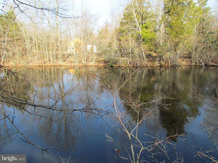 82-90 Dutch Row Road Elmer, NJ 08318 - Photo 10 of 22 Lake / Pond