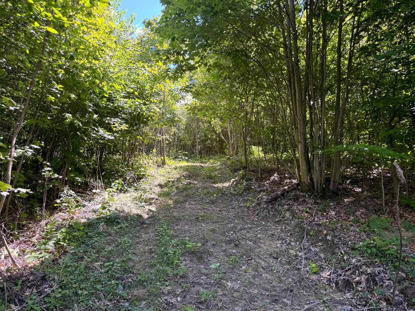 4313 Flint Ridge Road Northeast, Unit INT RIDGE TRACT 18 ACRE) Crooksville, OH 43731 - Photo 26 of 53 CT-26