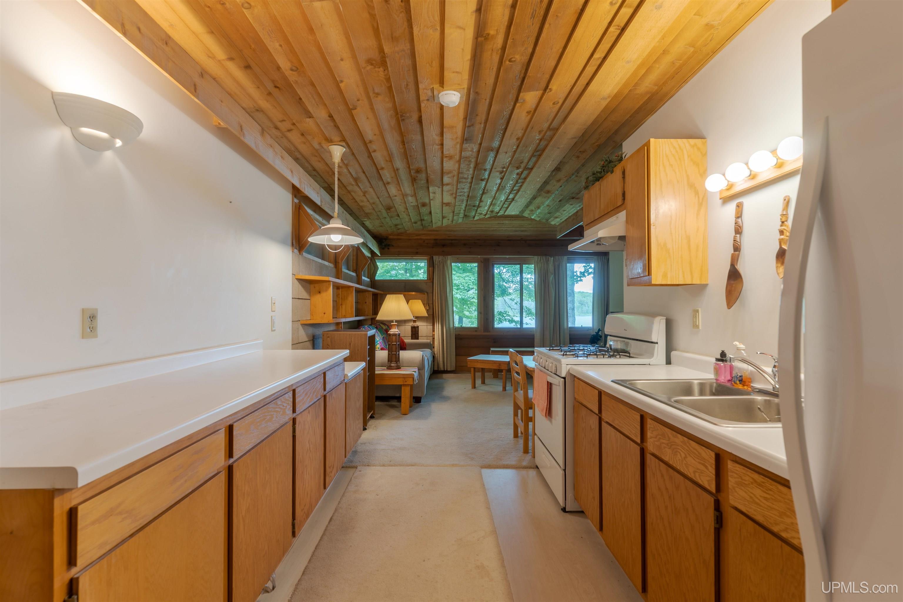 104 North Hagerman Lake Road Iron River, MI 49935 - Photo 4 of 55